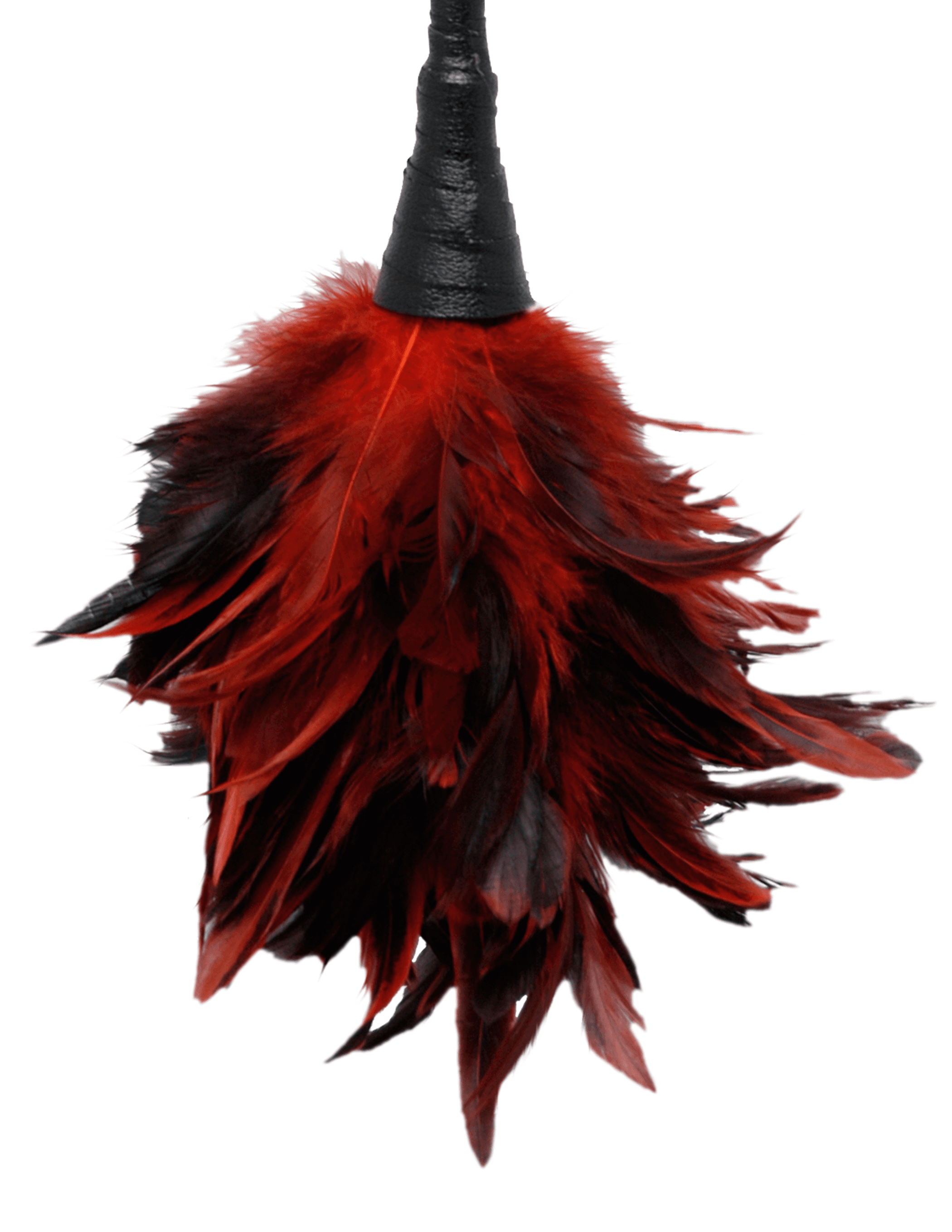 Fetish Fantasy Frisky Feather Duster in Red