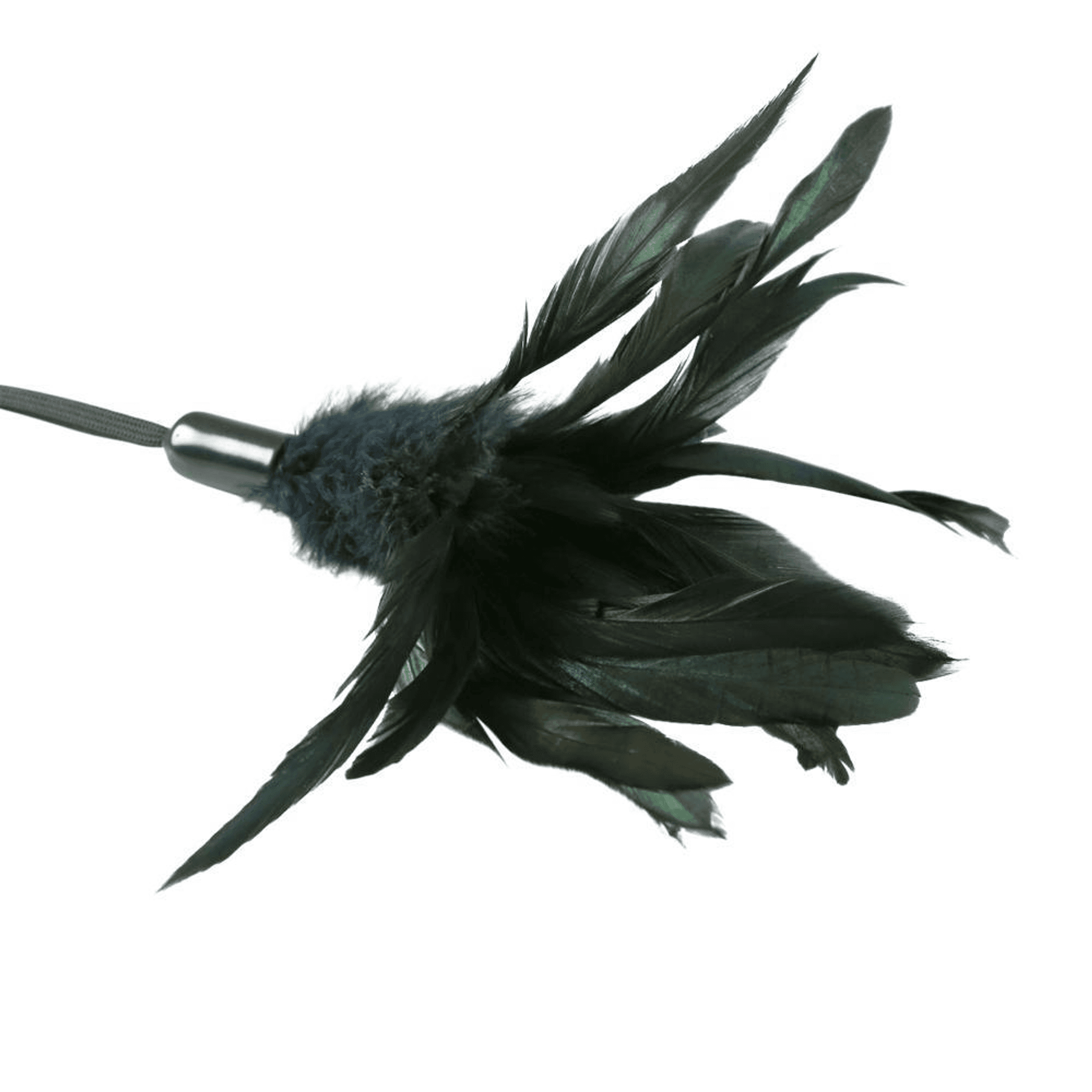 Premium Pleasure Feather Tickler