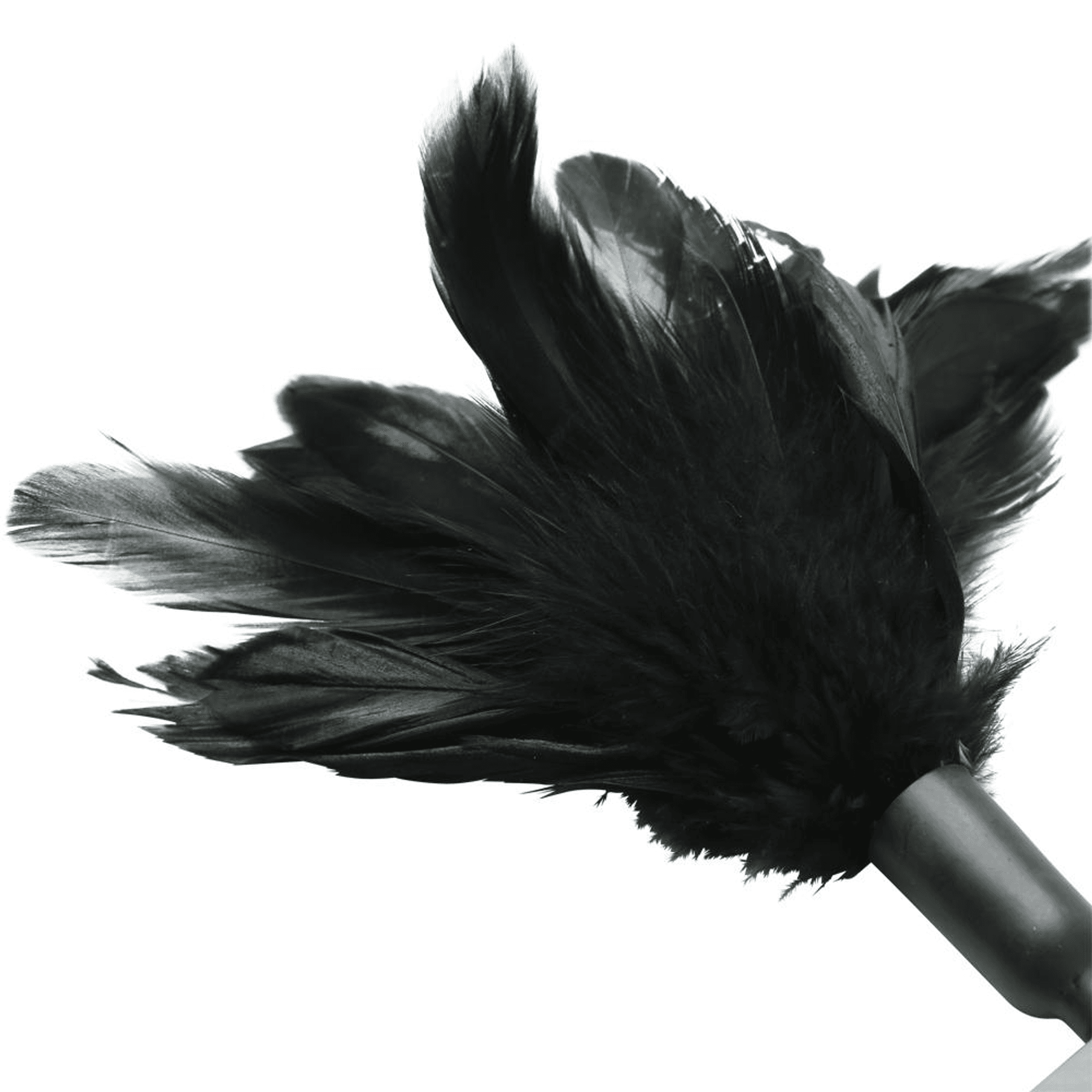 Starburst Feather Tickler Black
