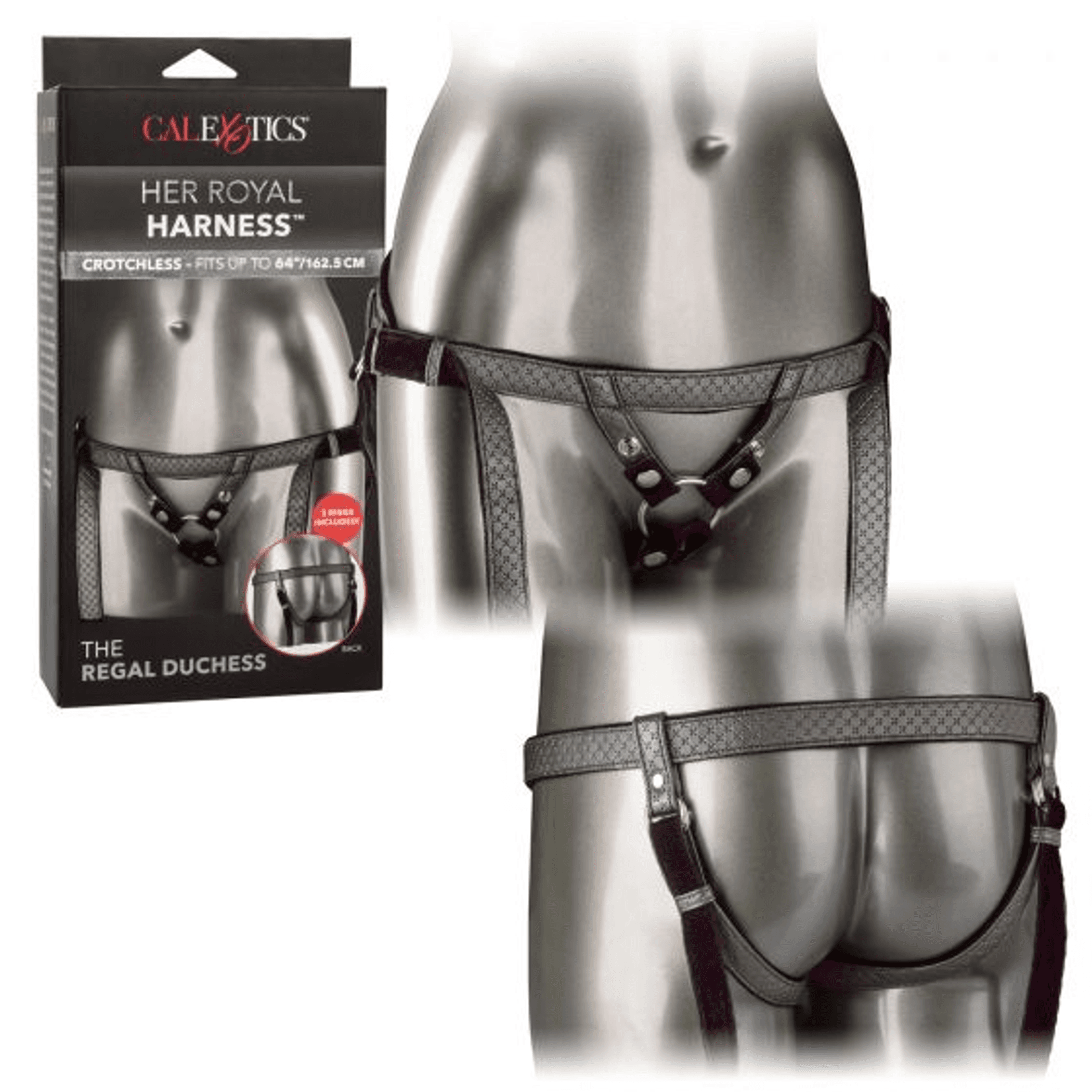 Her Royal Harness – The Regal Duchess