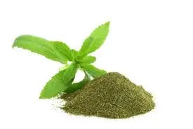 Stevia Leaf