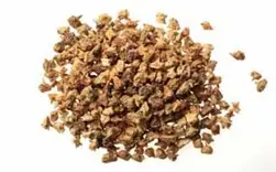 Tribulus Terrestris Fruit