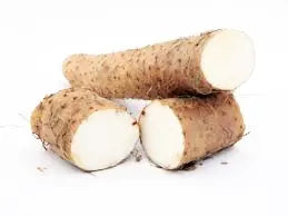 Wild Yam Root