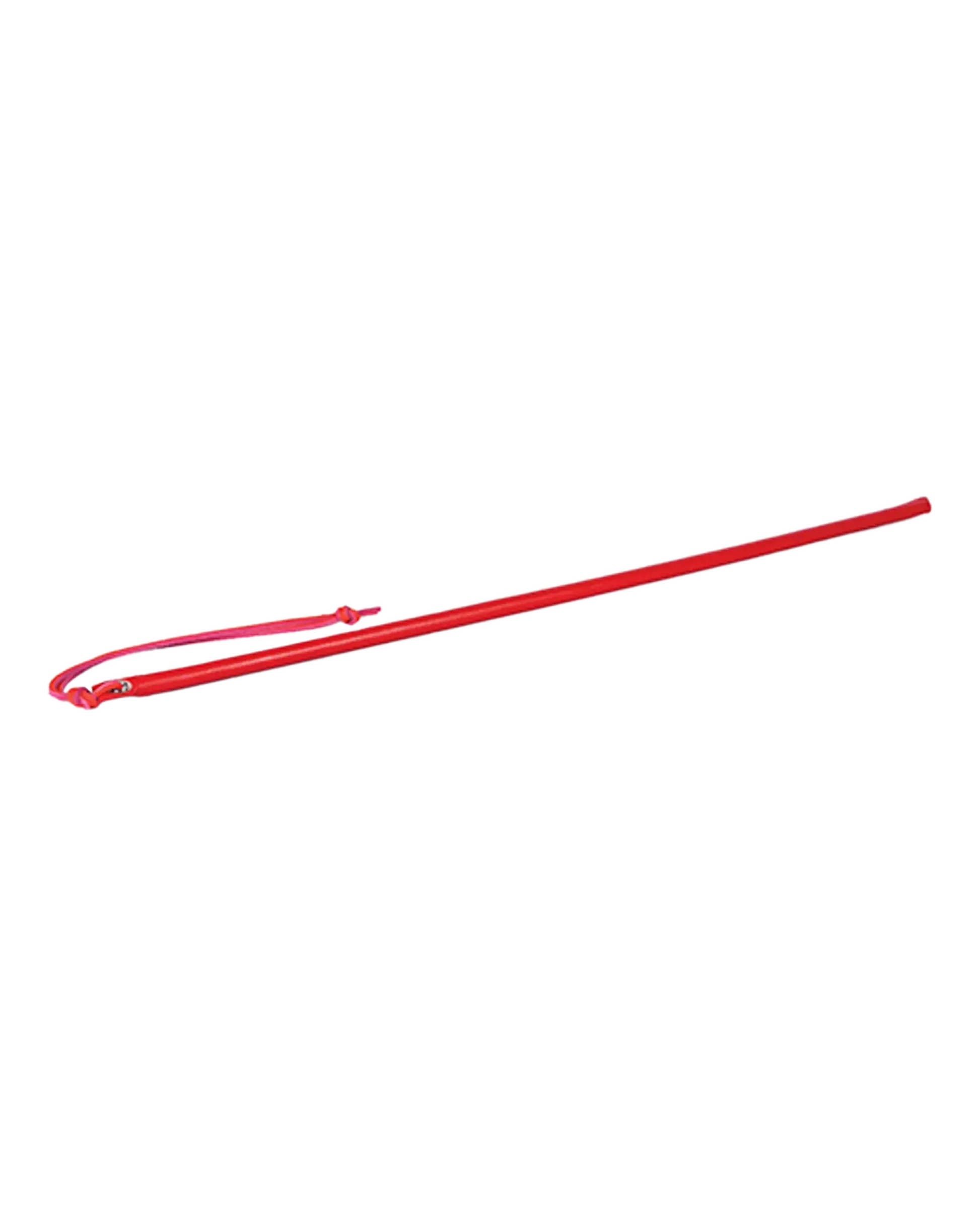 24 LEATHER WRAPPED CANE RED " Spartacus