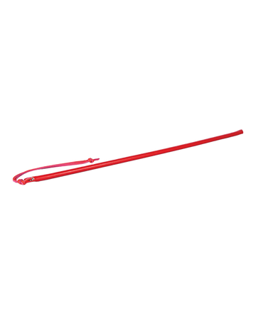 24 LEATHER WRAPPED CANE RED " Spartacus