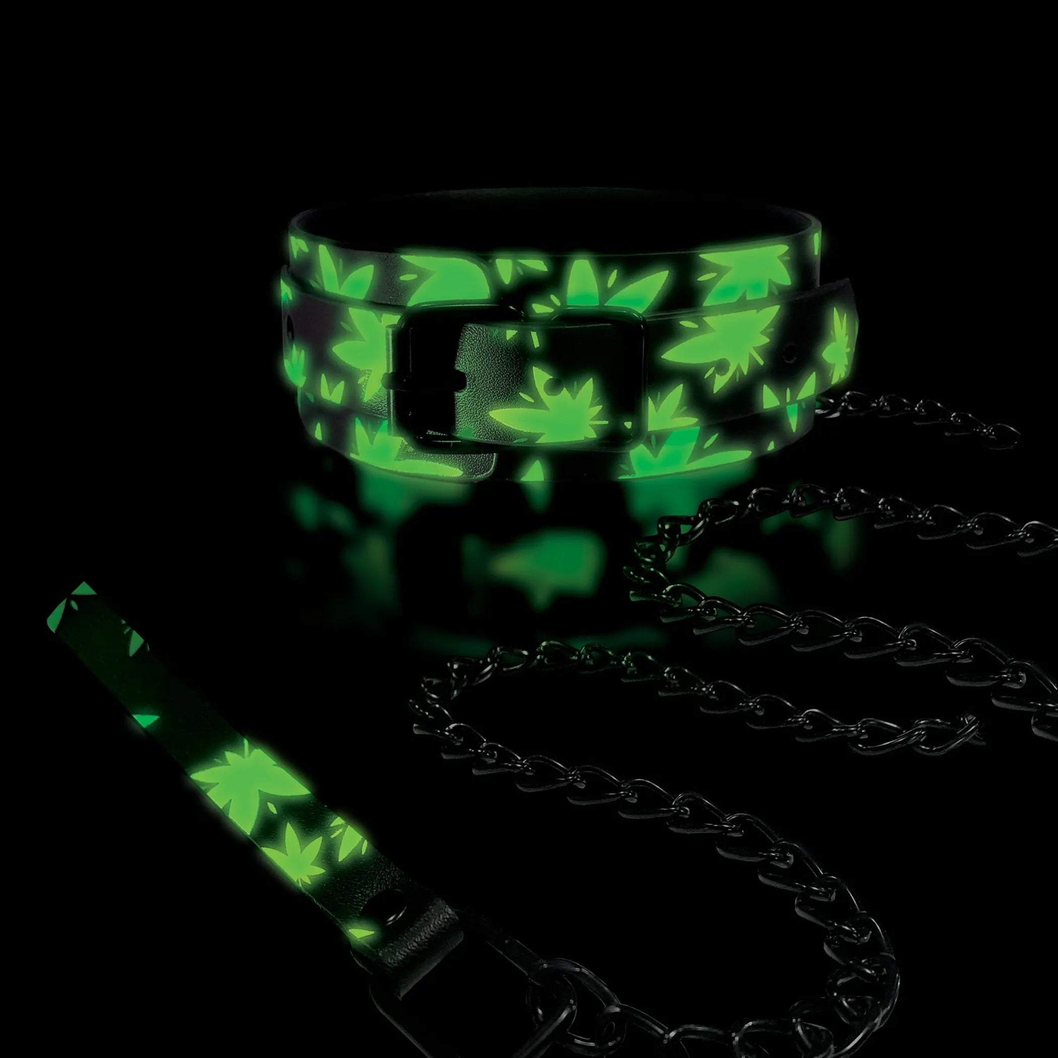 Stoner Vibes Glow In The Dark Collar and Leash Global Novelties