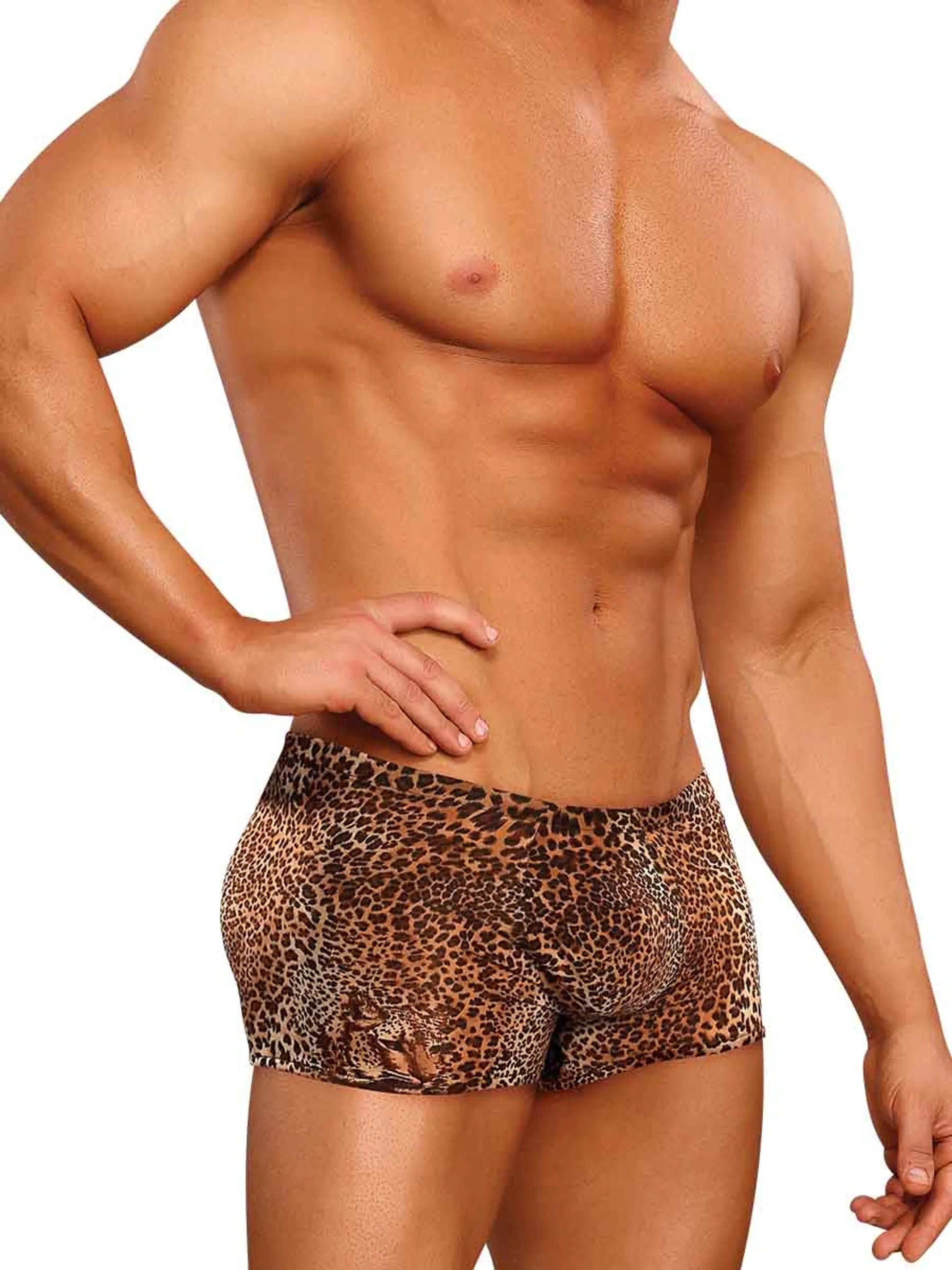 Animal Pouch Short – Medium Leopard Male Power Lingerie