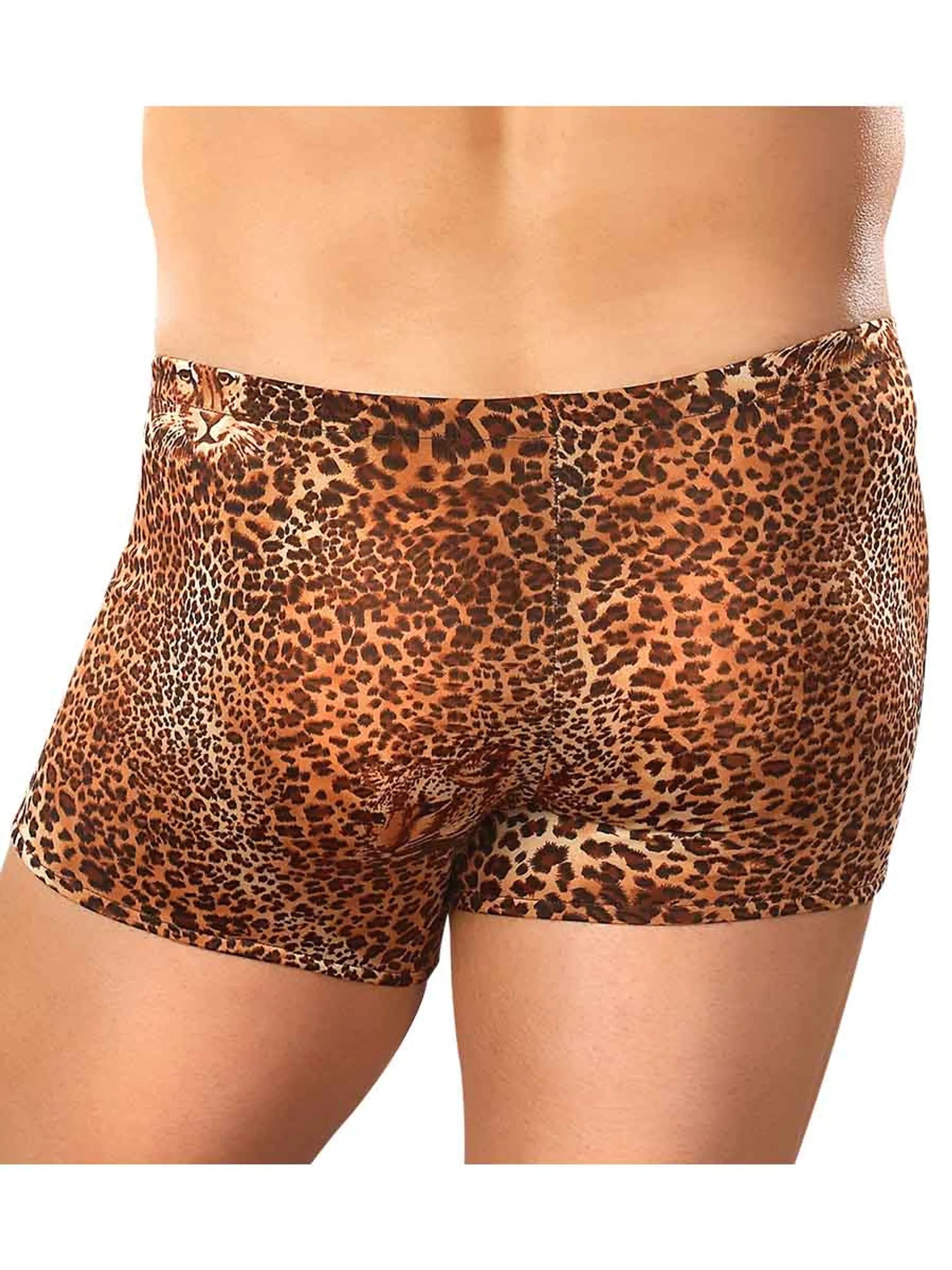 Animal Pouch Short – Medium Leopard Male Power Lingerie