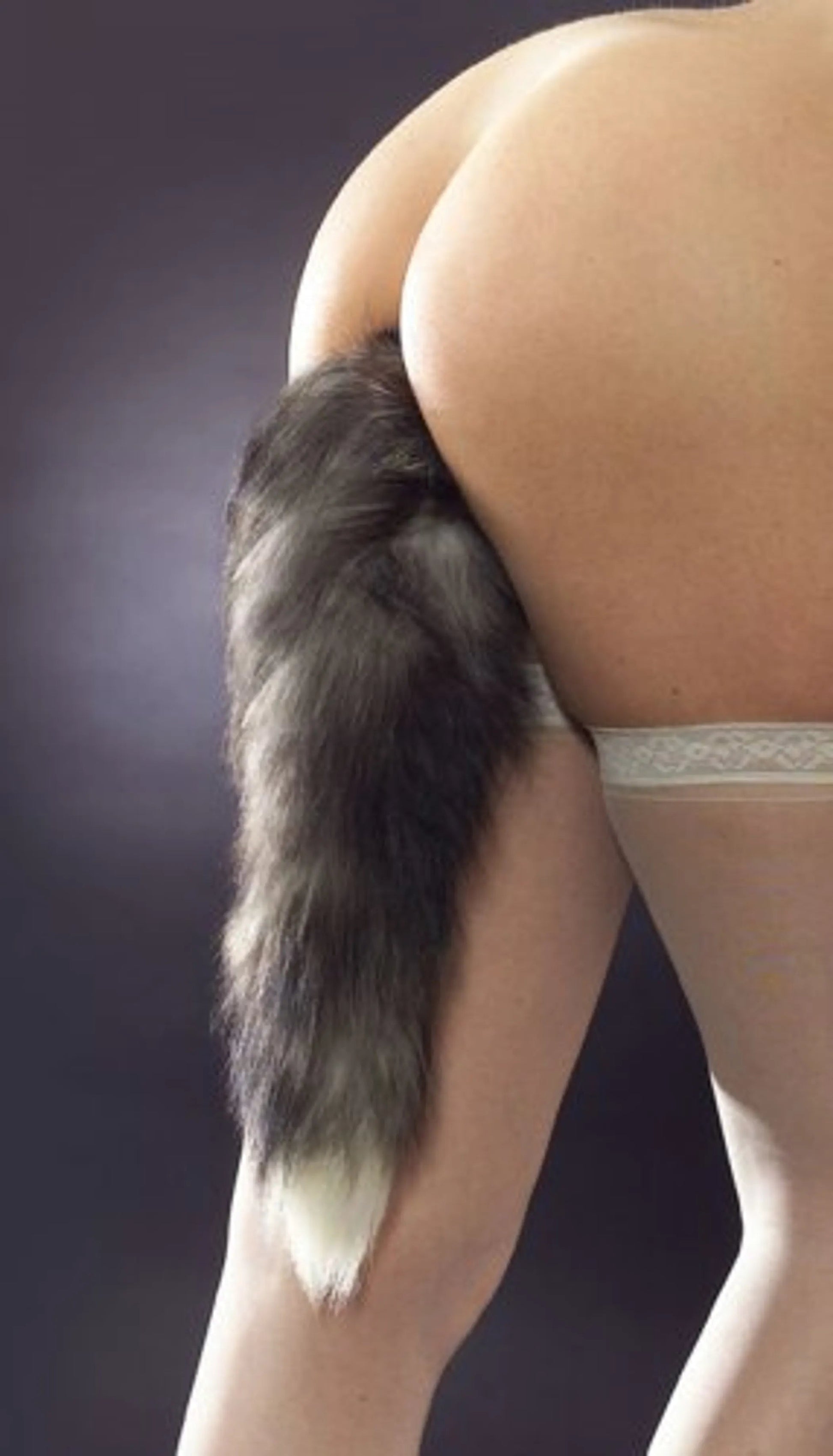 Tailz Grey Fox Tail Anal Plug XR Brands