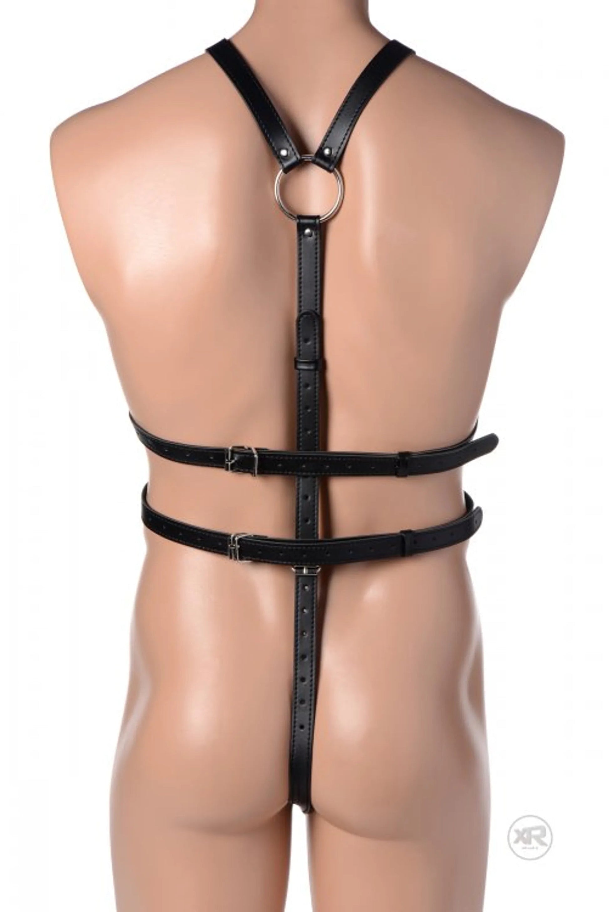 Strict Male Full Body Harness XR Brands