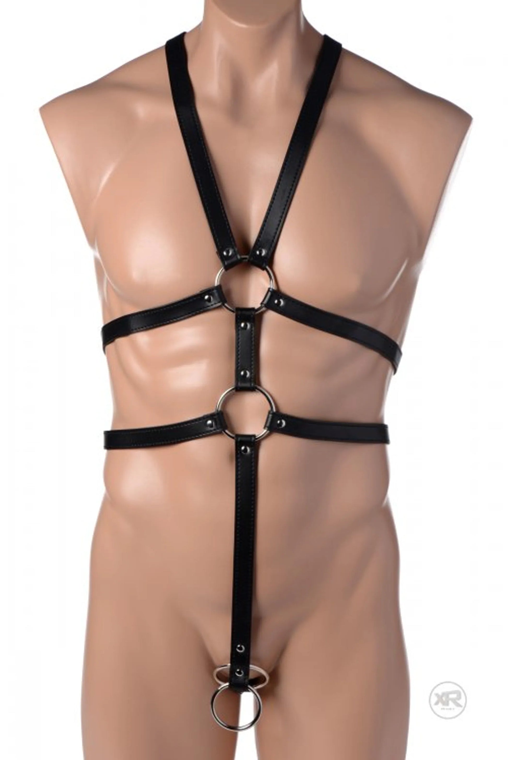 Strict Male Full Body Harness XR Brands
