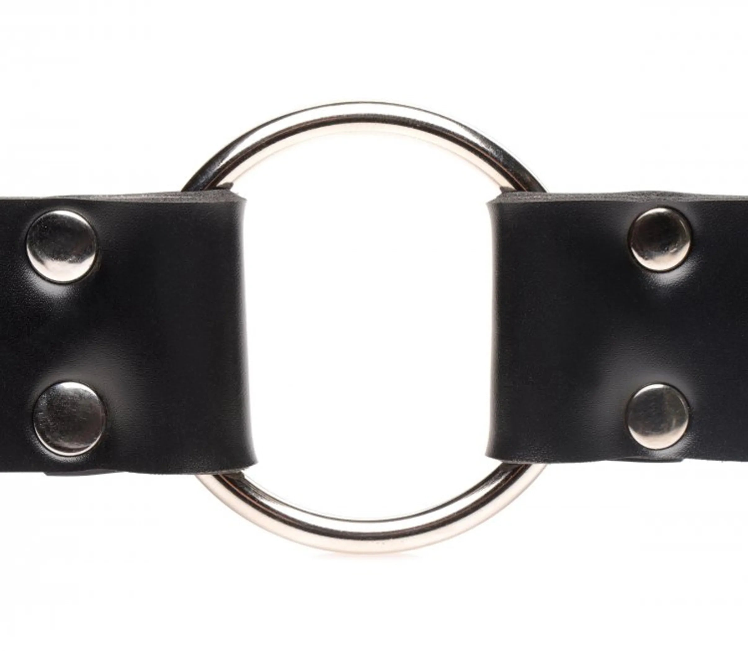 Master Series Strap and Ride Strap Harness XR Brands