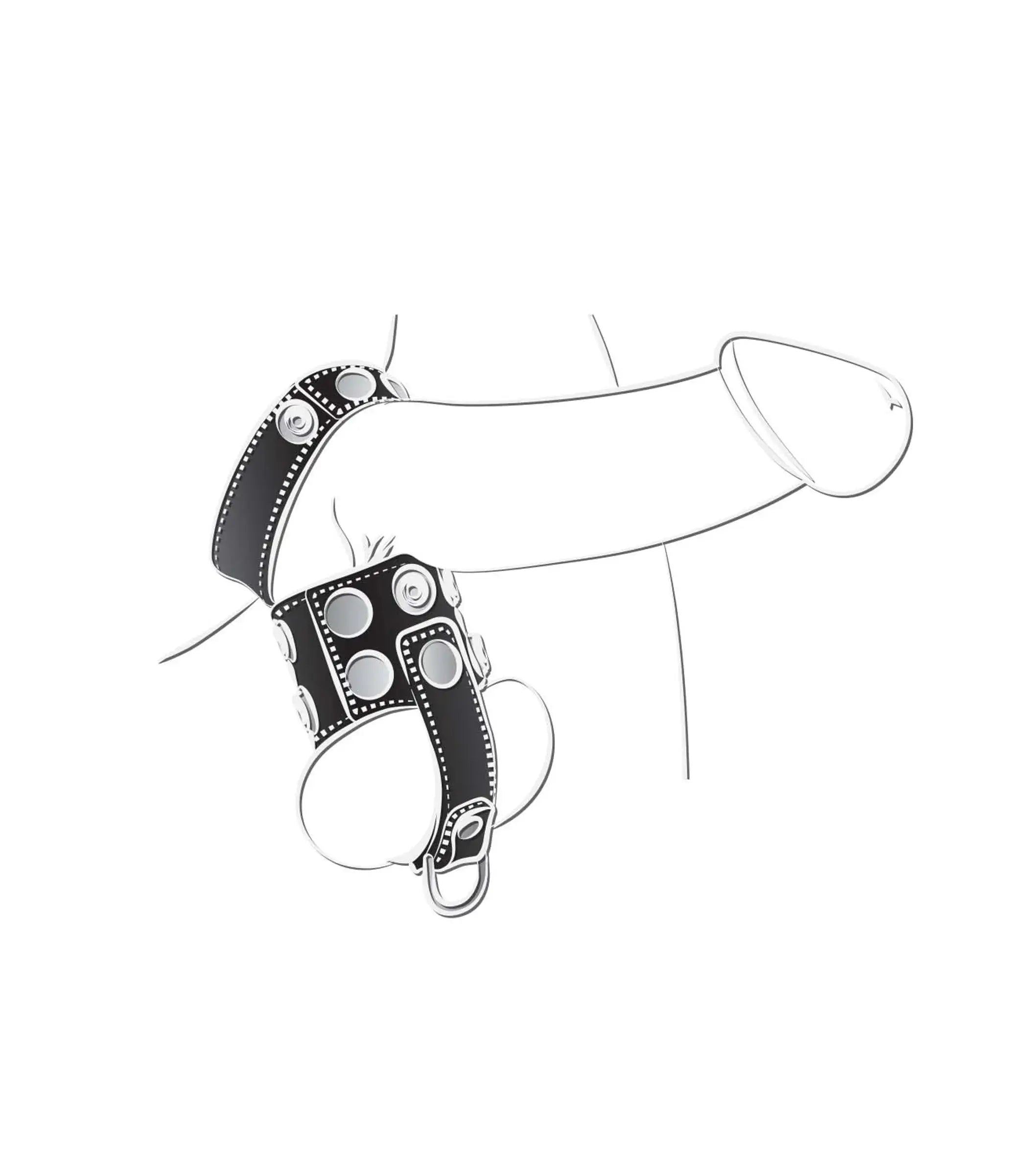 Ballgear Ball Stretcher with Separator and D-Ring Nasstoys