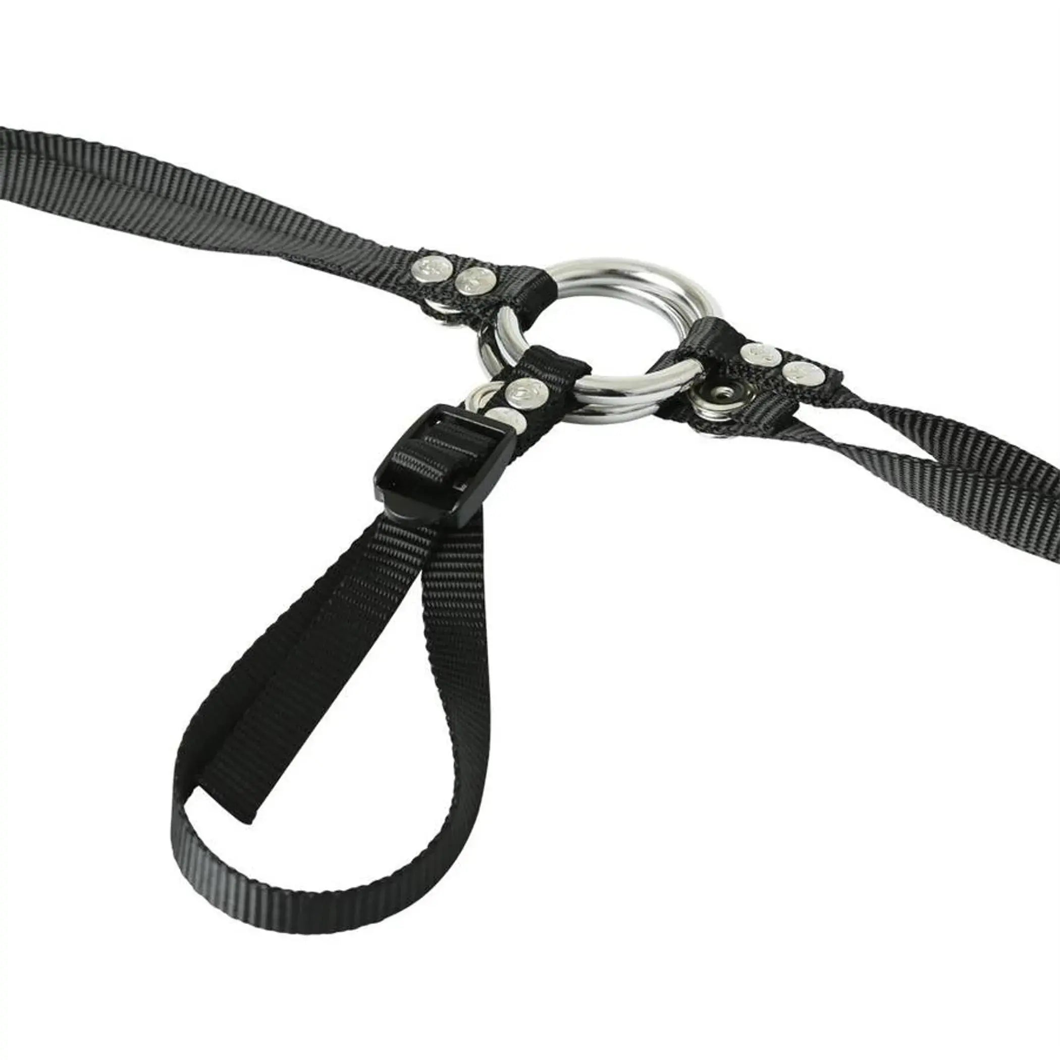 Bare As You Dare Harness Black Sport Sheets