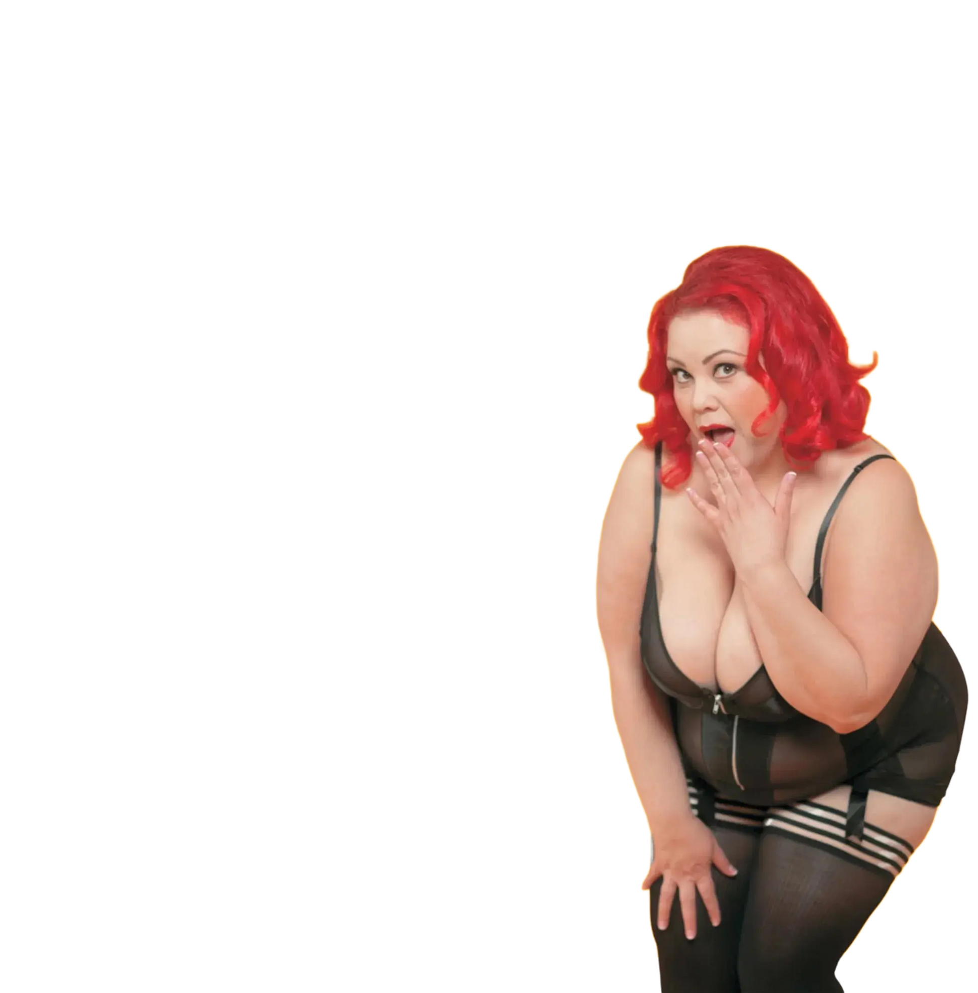 CURVY GIRL SEX 101 Assorted Books and Mags