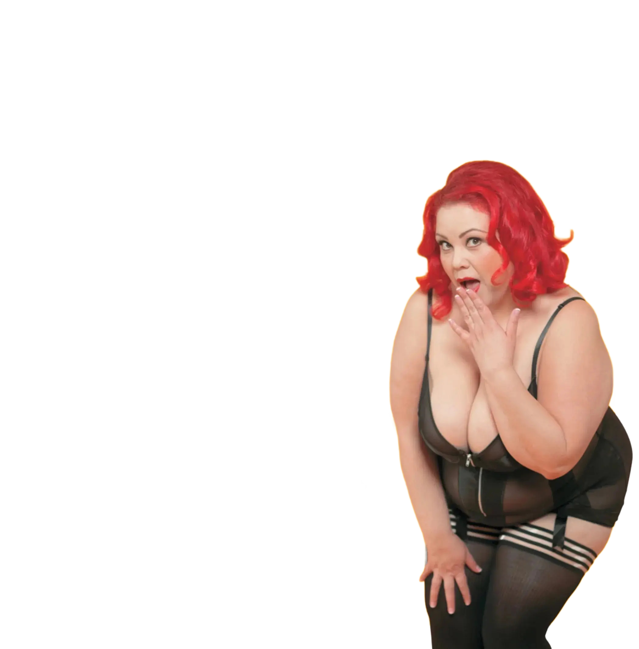 CURVY GIRL SEX 101 Assorted Books and Mags