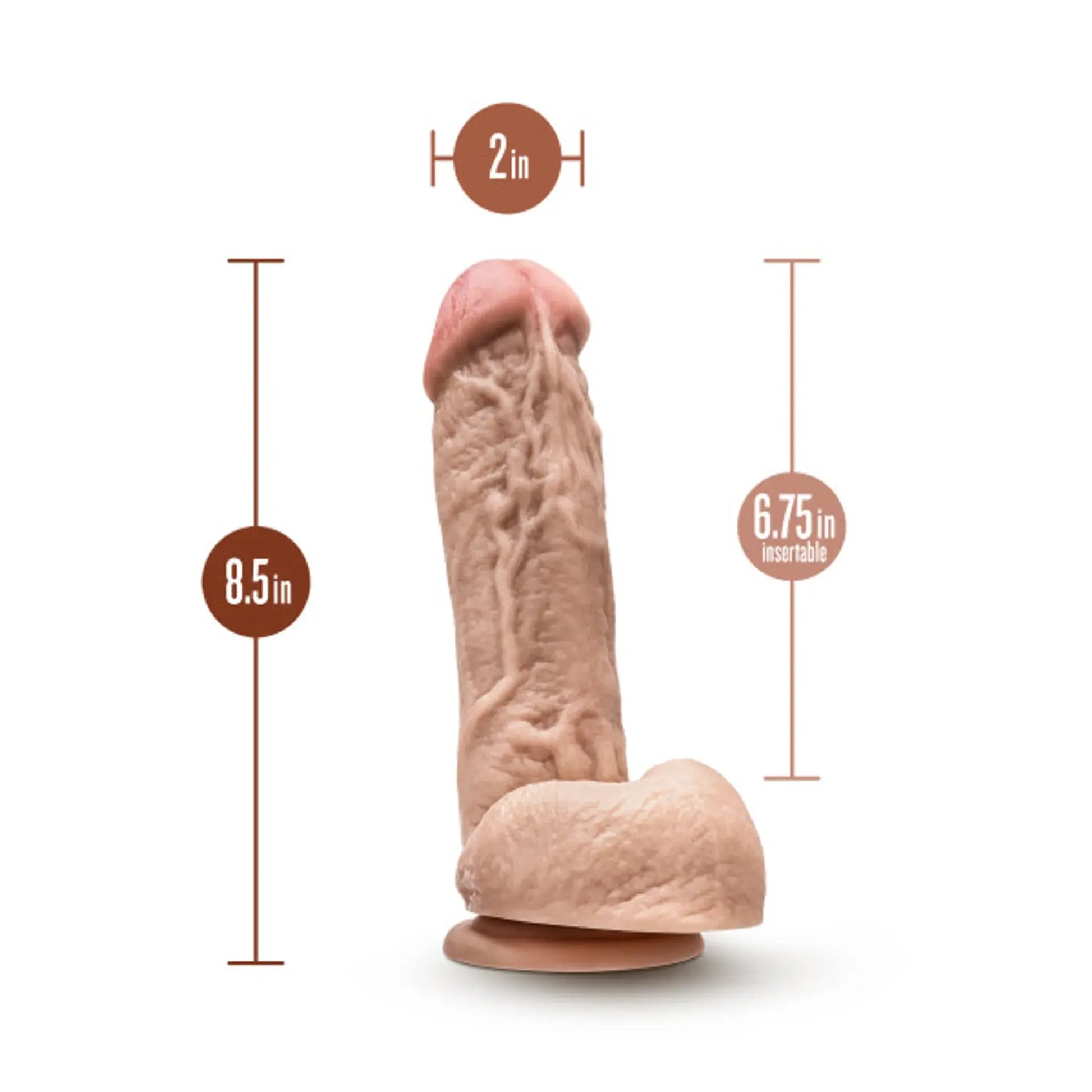 DR. SKIN DR. D 8.5 IN DILDO W/ BALLS BEIGE Blush Novelties