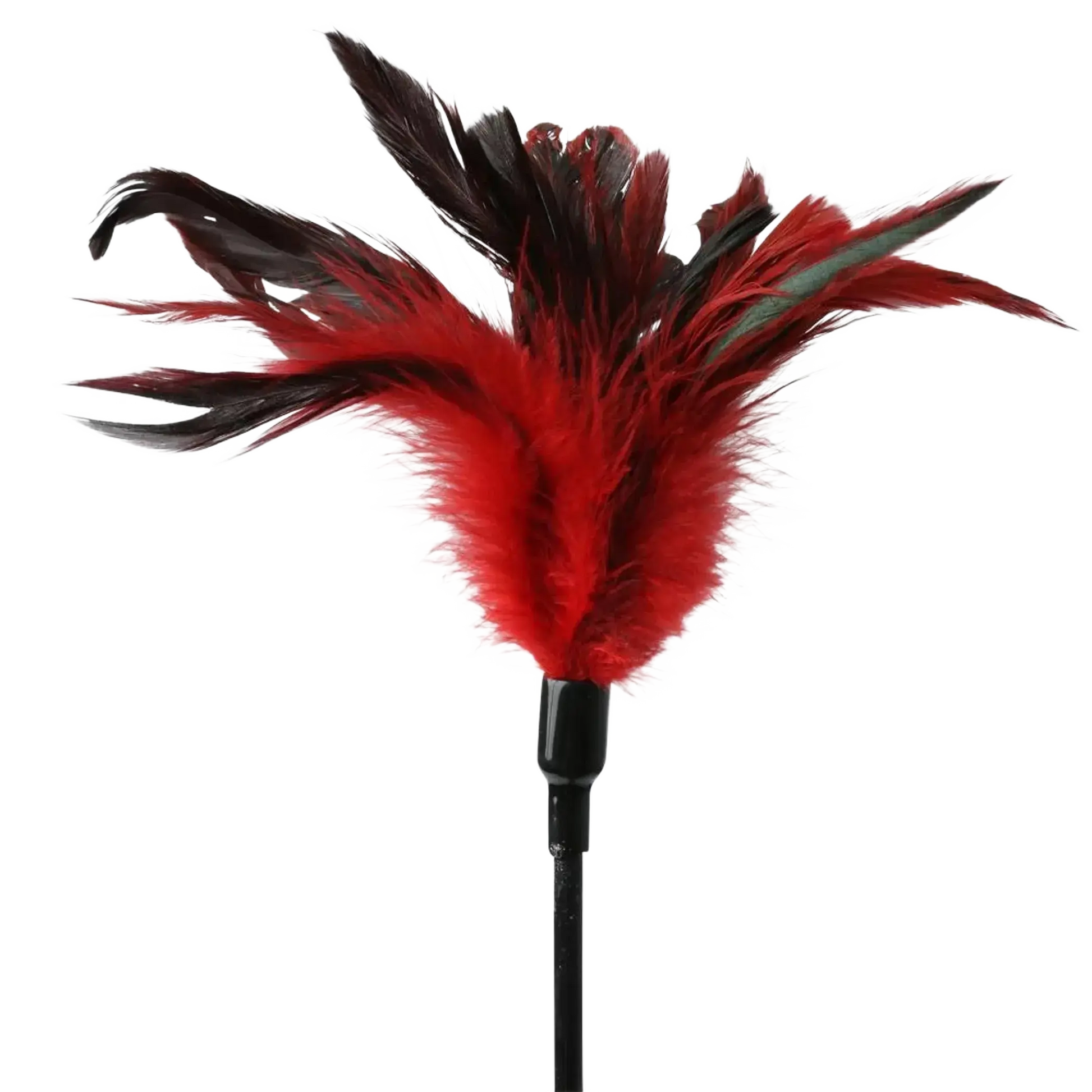 SEX & MISCHIEF FEATHER SLAPPER Sport Sheets