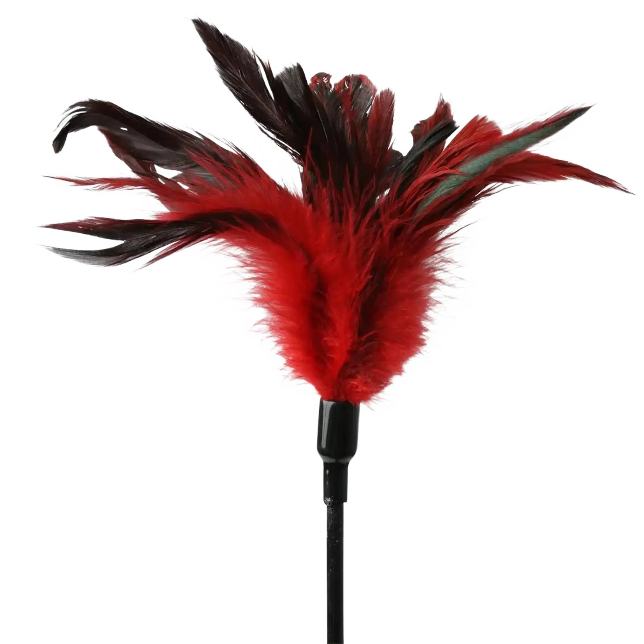 SEX & MISCHIEF FEATHER SLAPPER Sport Sheets