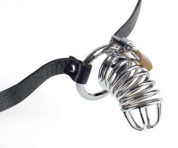 Fetish Fantasy Extreme Chastity Belt Pipedream Products