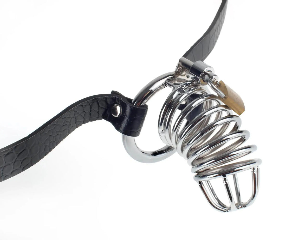 Fetish Fantasy Extreme Chastity Belt Pipedream Products