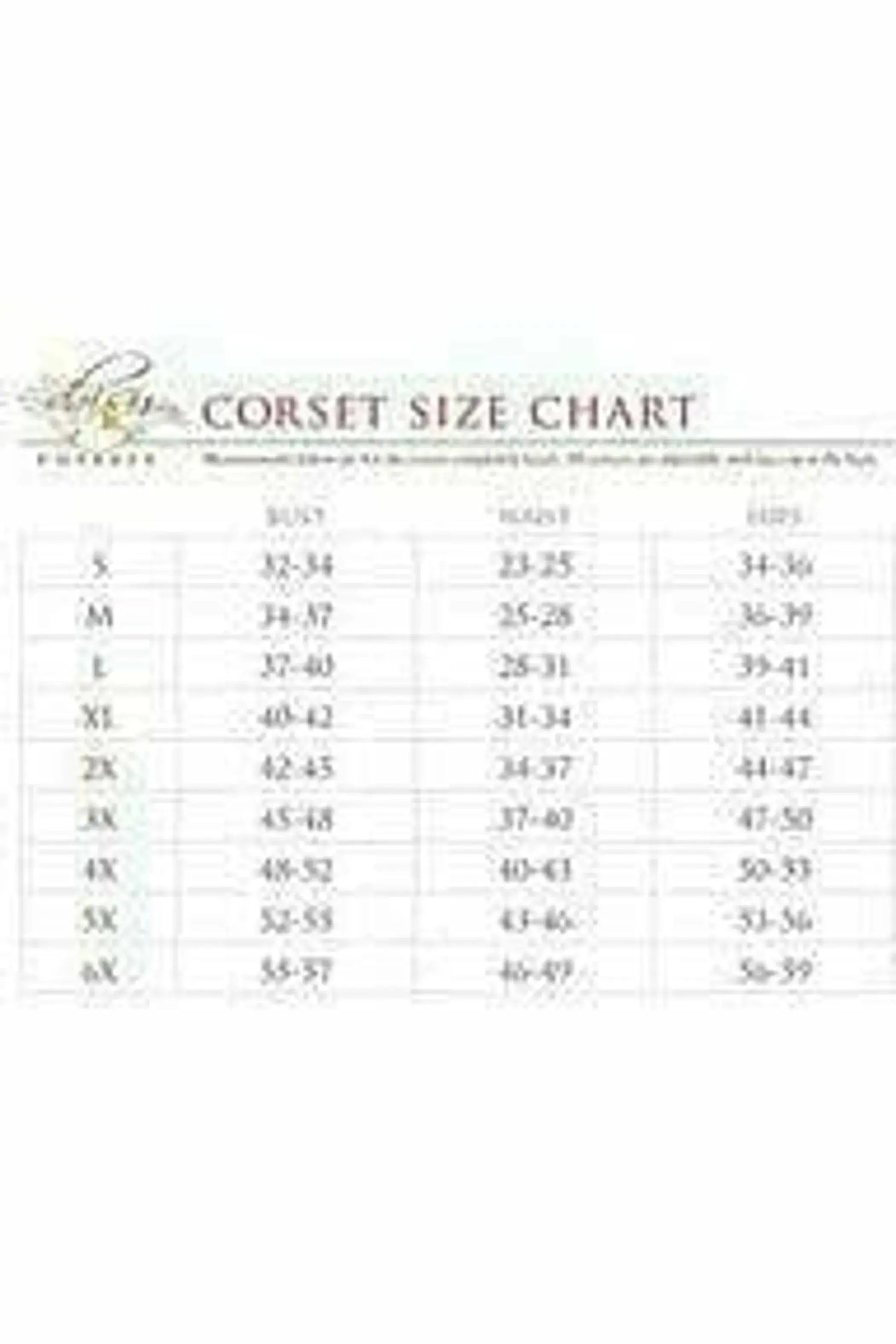 Lavish Side Zipper Corset Daisy Corsets