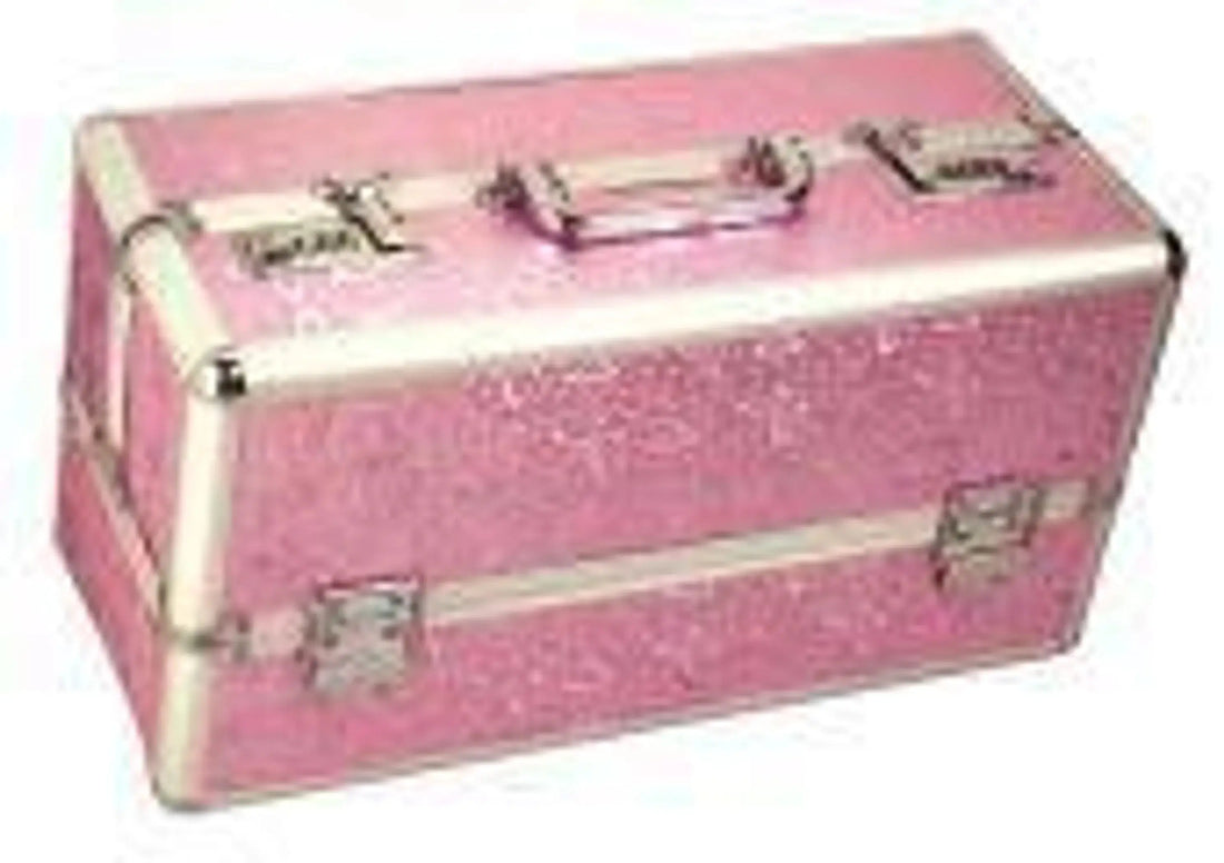 Lockable Vibrator Case Pink Large BMS Enterprises
