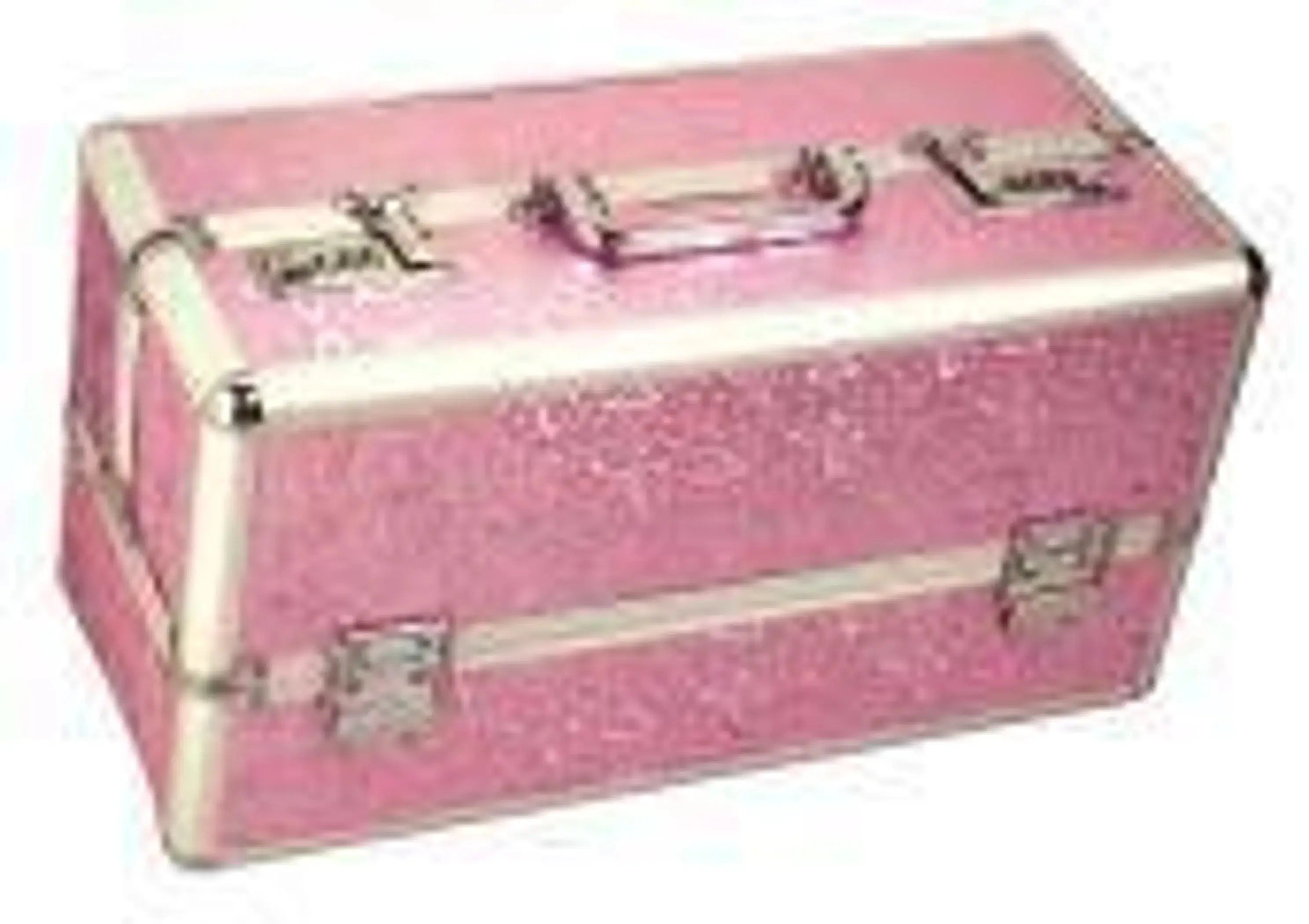 Lockable Vibrator Case Pink Large BMS Enterprises