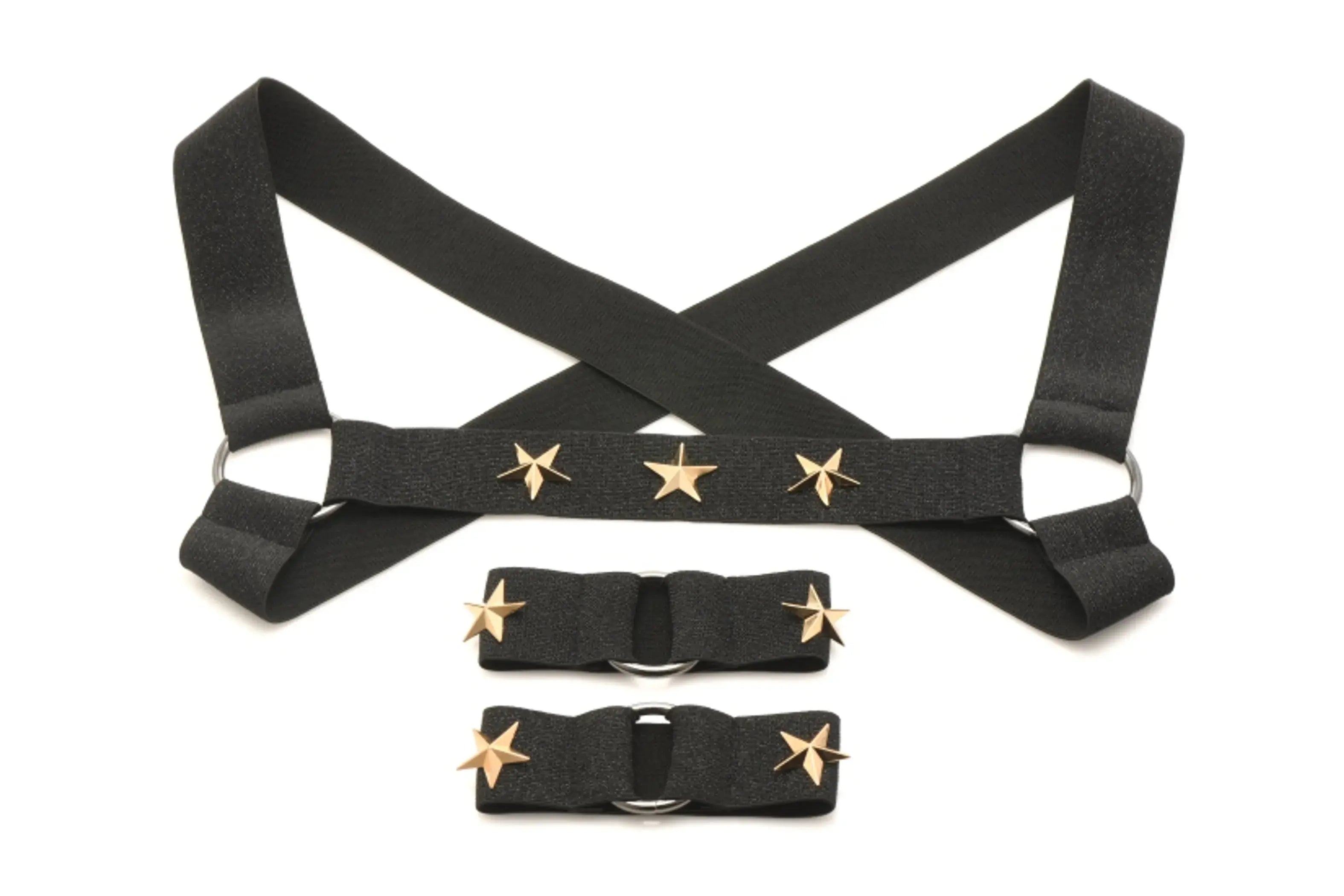 MASTER SERIES ELASTIC CHEST HARNESS W/ ARM BANDS L/XL XR Brands