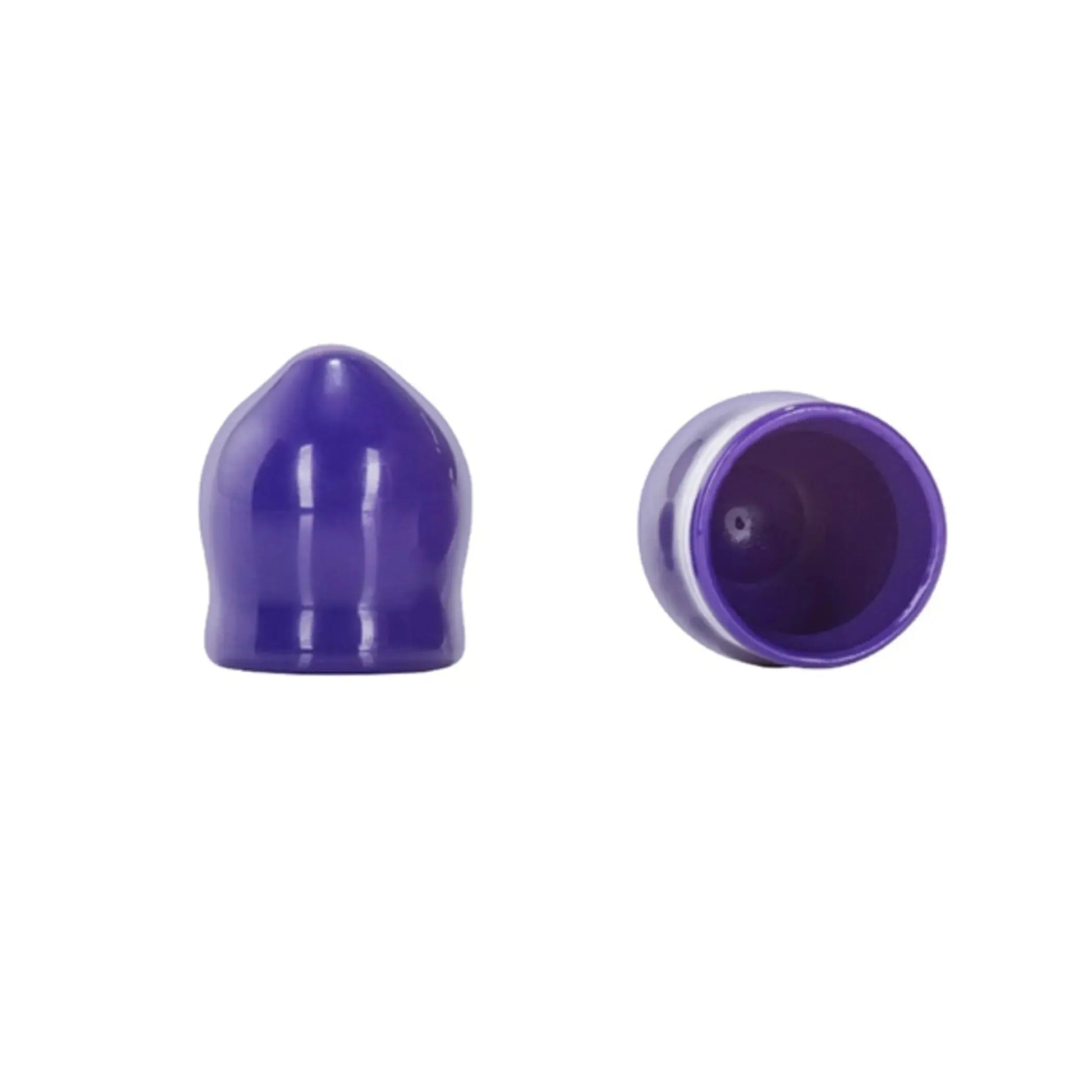 NIPPLE PLAY MINI NIPPLE SUCKERS PURPLE California Exotic Novelties