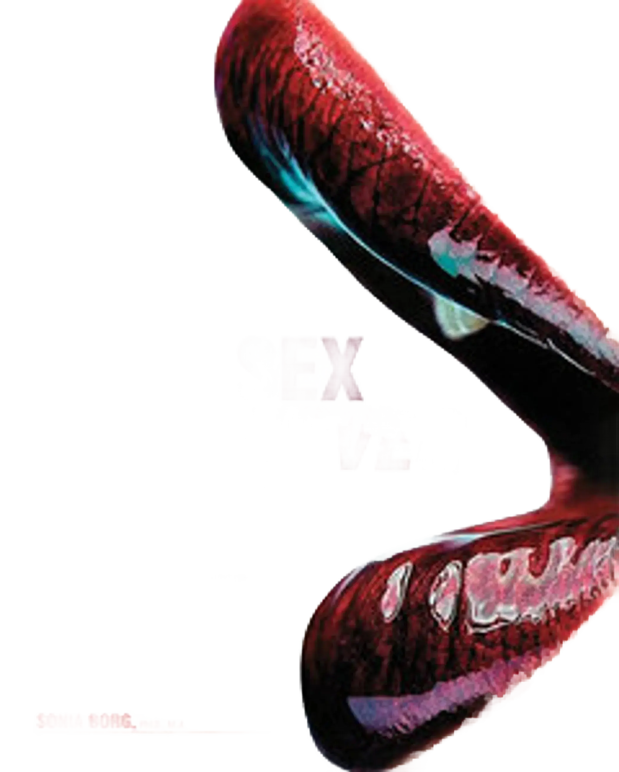 ORAL SEX HELL NEVER FORGET (NET) Assorted Books and Mags