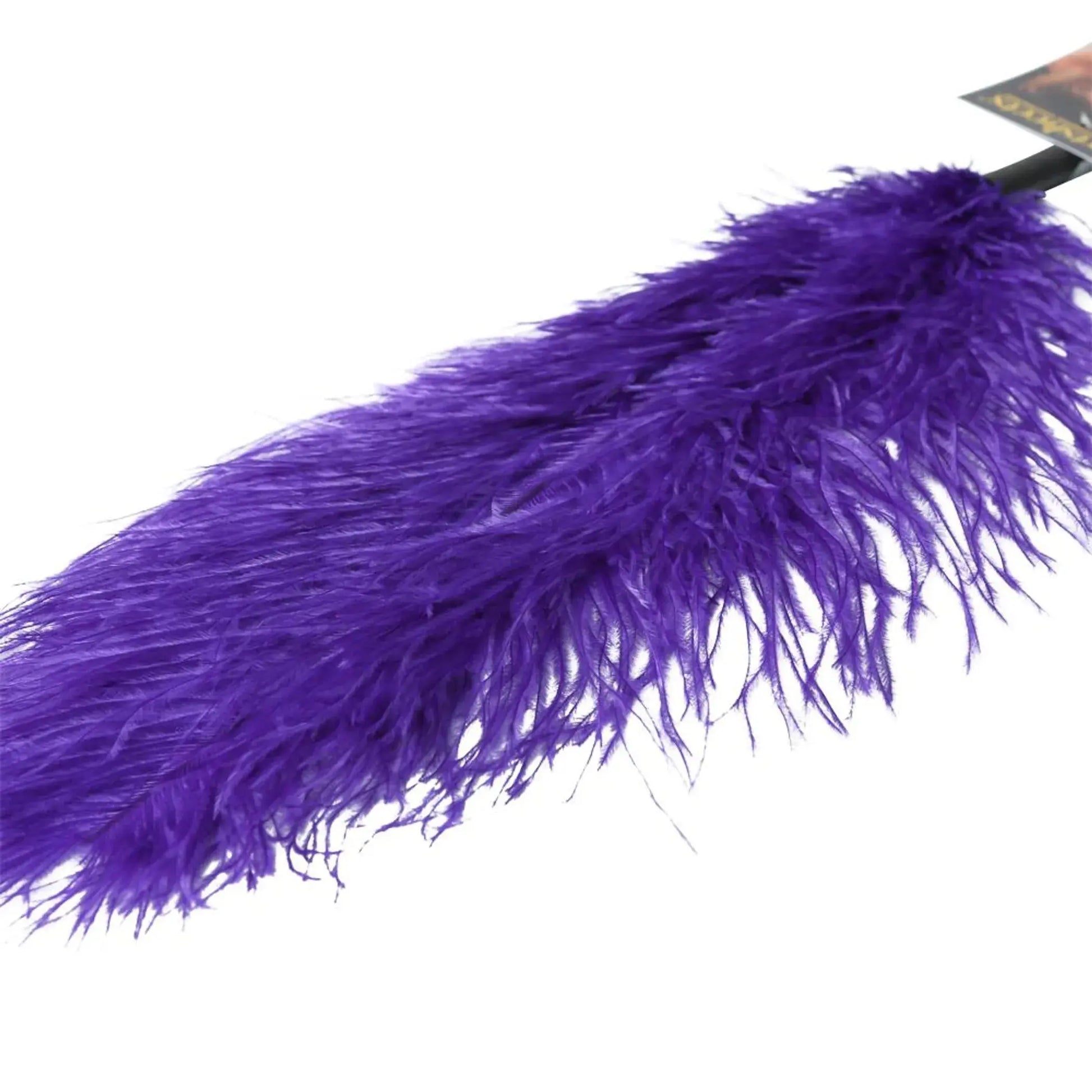 Ostrich Feather Purple Sport Sheets
