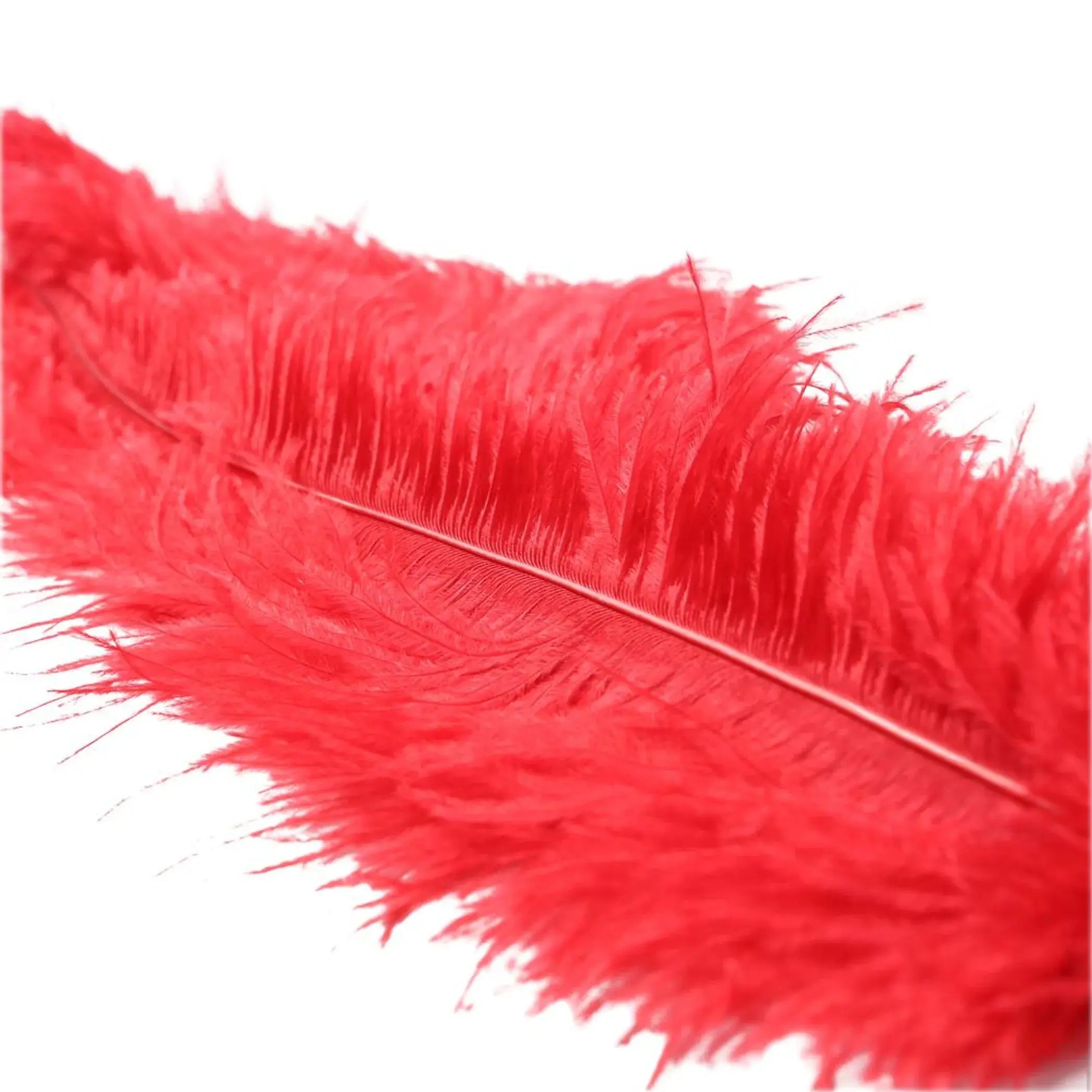 Ostrich Feather Red Sport Sheets