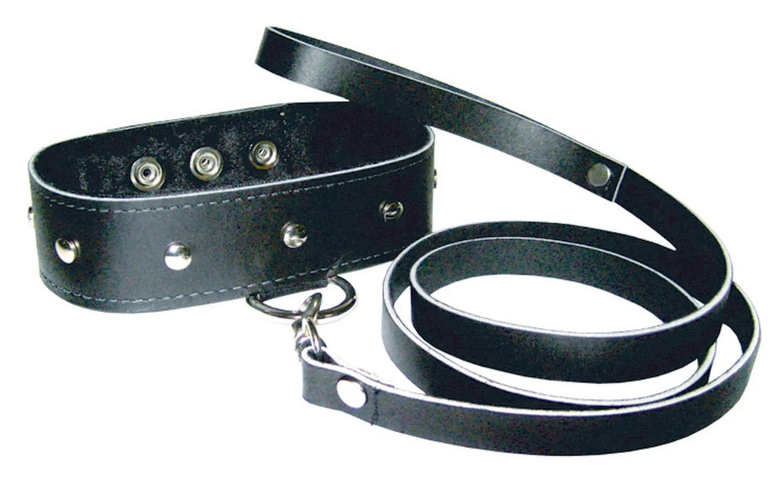 PREMIUM LEATHER LEASH & COLLAR Sport Sheets