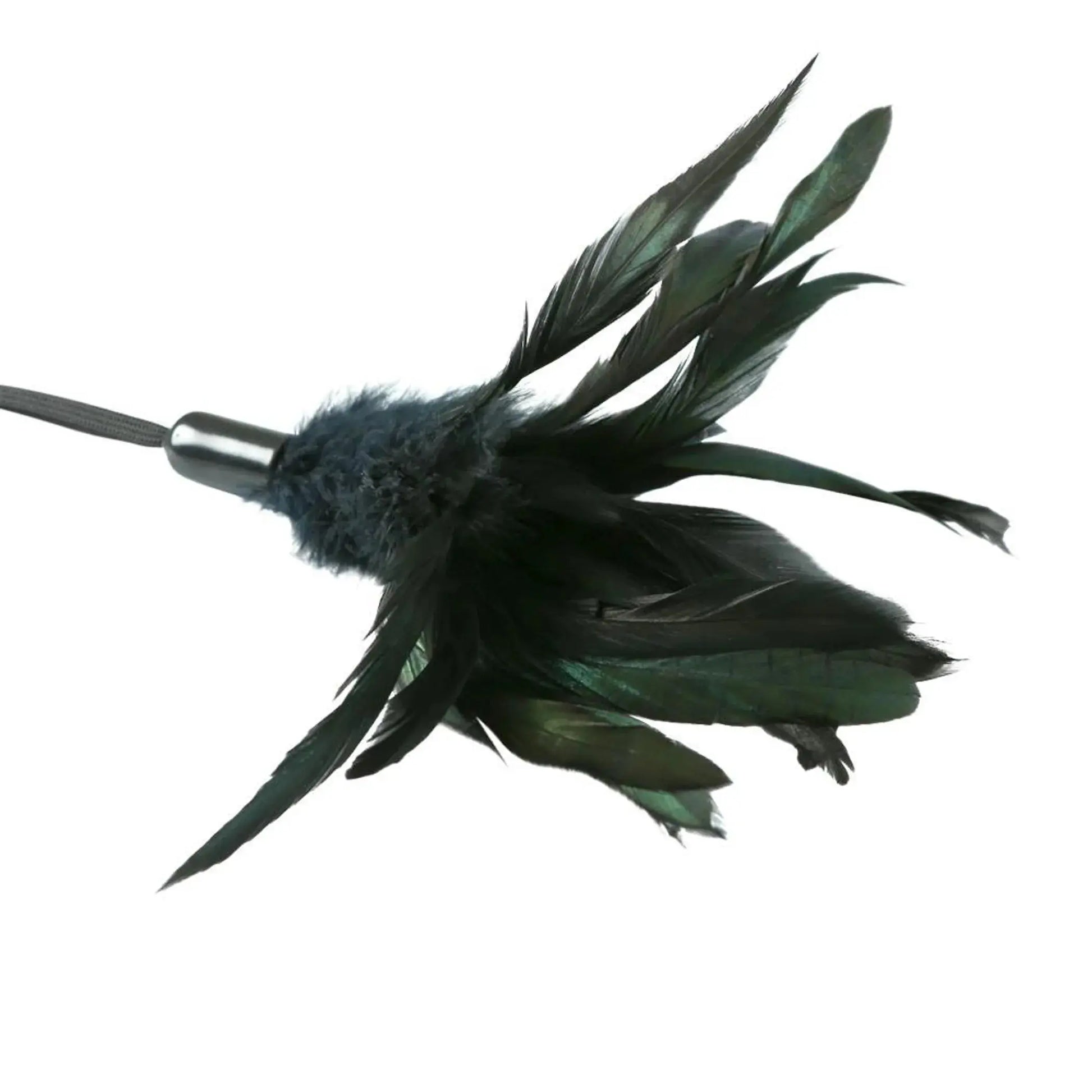 PREMIUM PLEASURE FEATHER BLACK Sport Sheets