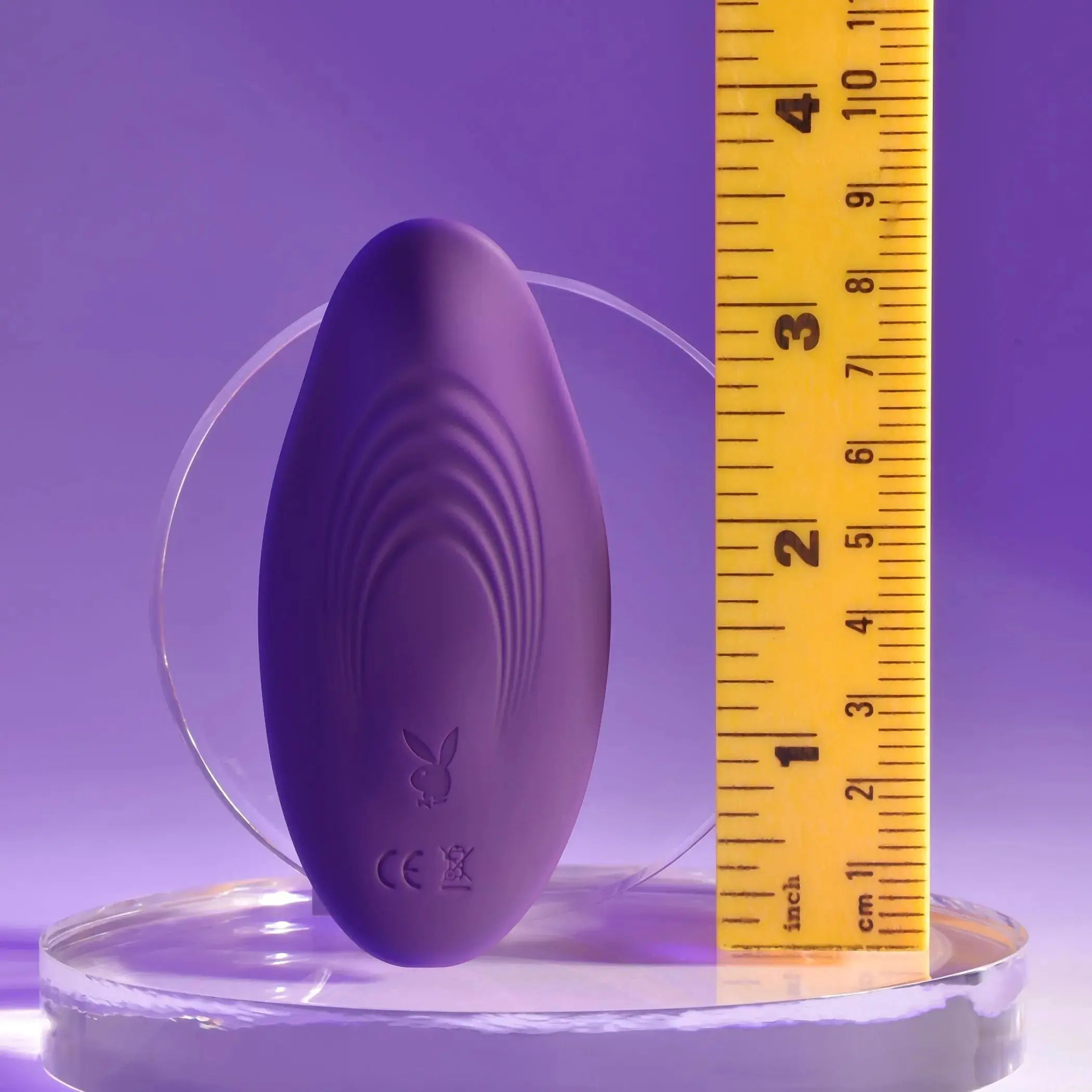 Playboy Our Little Secret Panty Vibrator Evolved Novelties