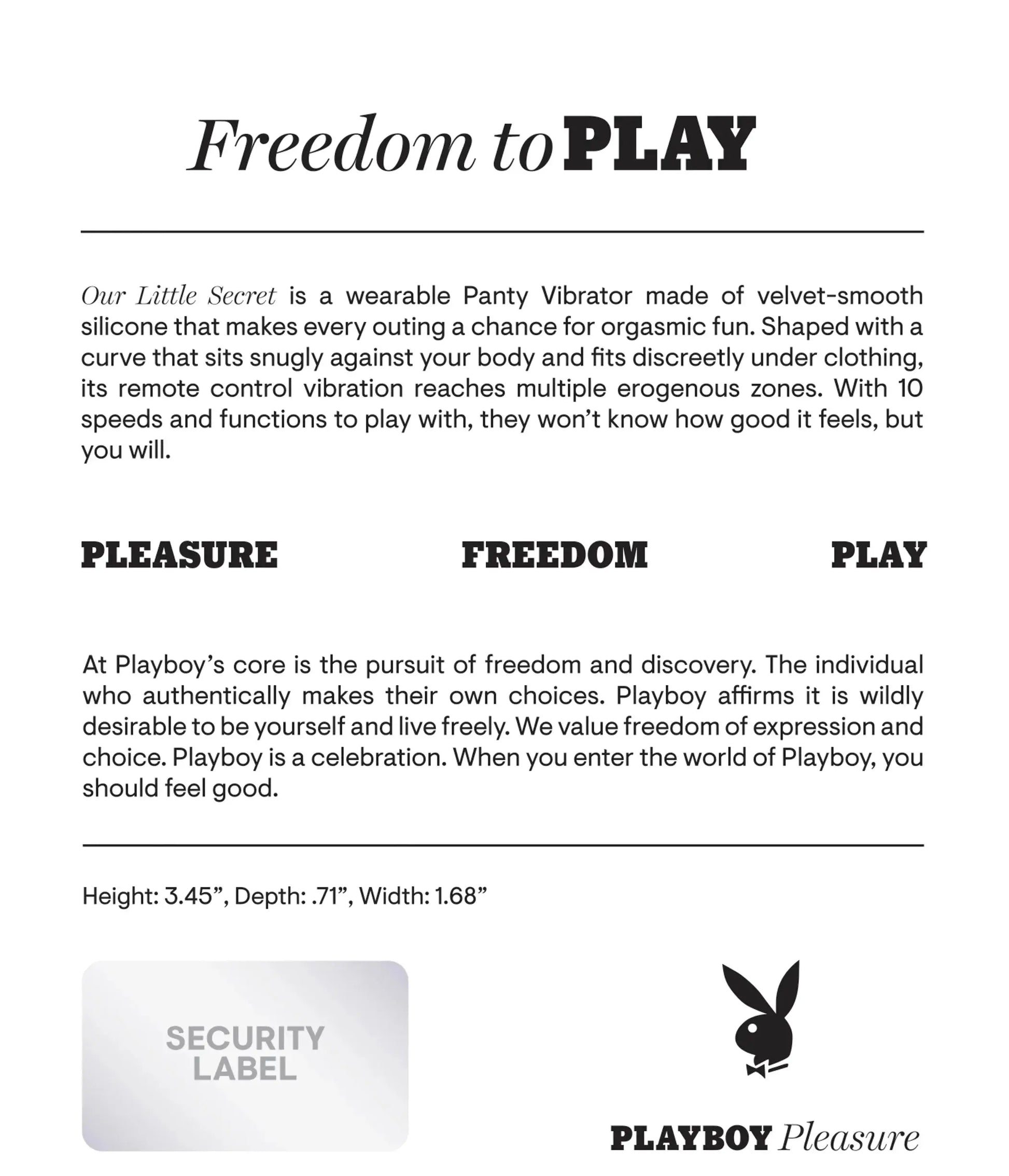 Playboy Our Little Secret Panty Vibrator Evolved Novelties
