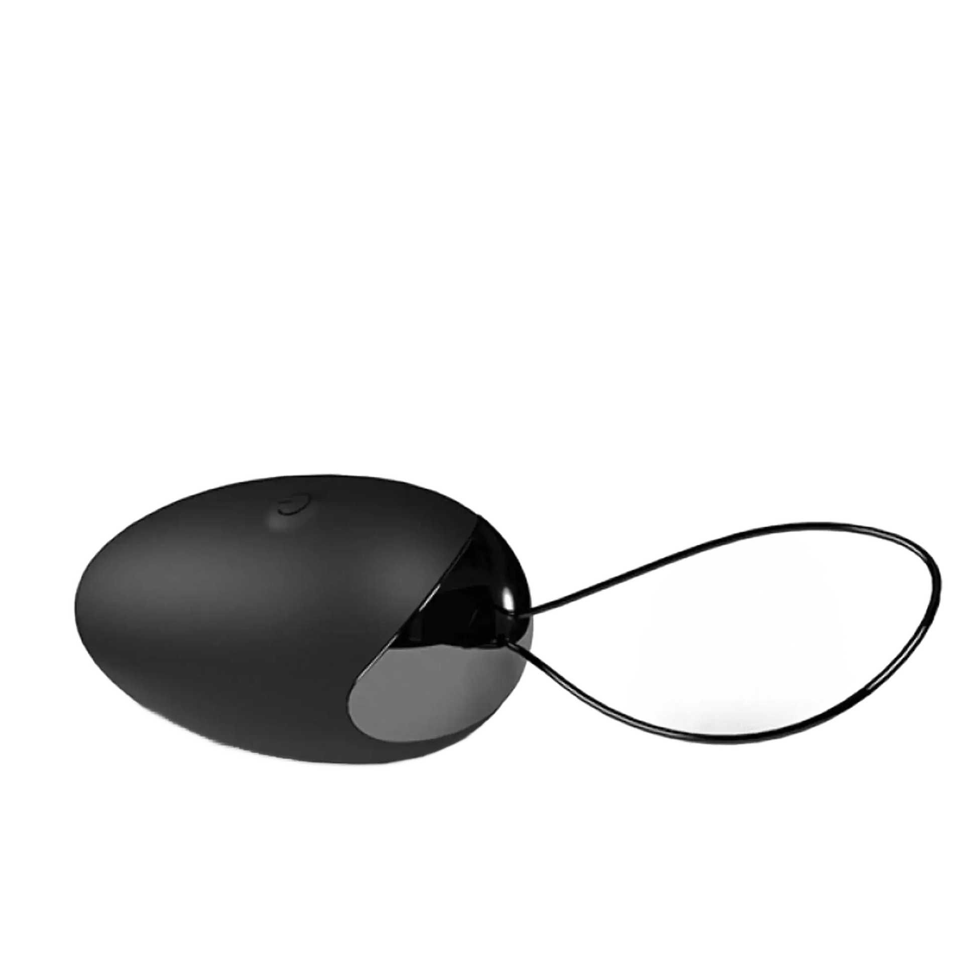 SCREAMING O PREMIUM DUAL VIBE REMOTE & EGG Screaming O