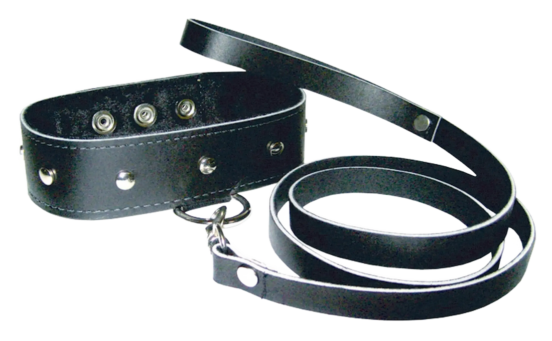 PREMIUM LEATHER LEASH & COLLAR Sport Sheets