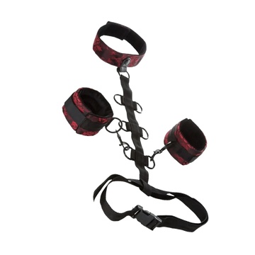 SCANDAL COLLAR BODY RESTRAINTS California Exotic Novelties