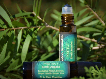 Simbi Anpaka Aromatic V is For Voodoo LLC