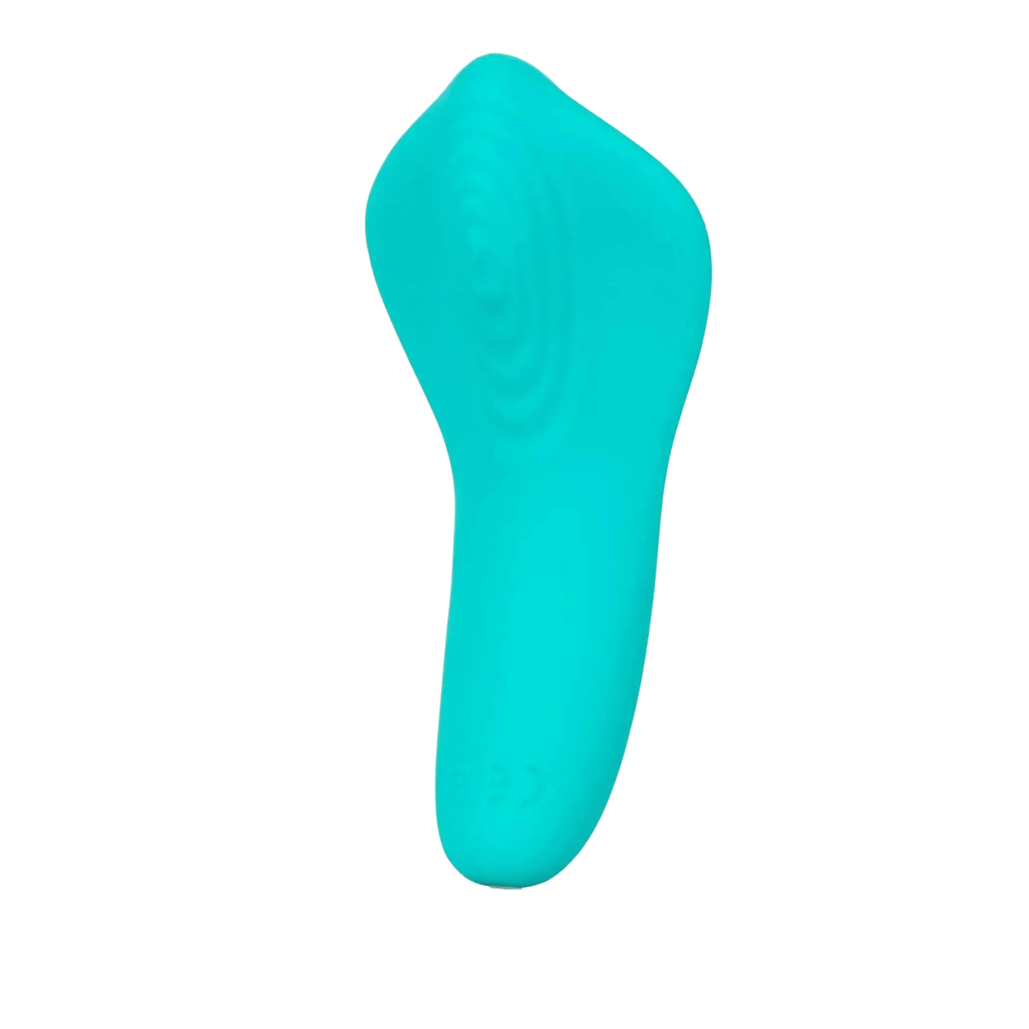 SLAY PLEASER California Exotic Novelties