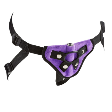STRAP-ON HARNESS KIT PURPLE Cloud 9 Novelties