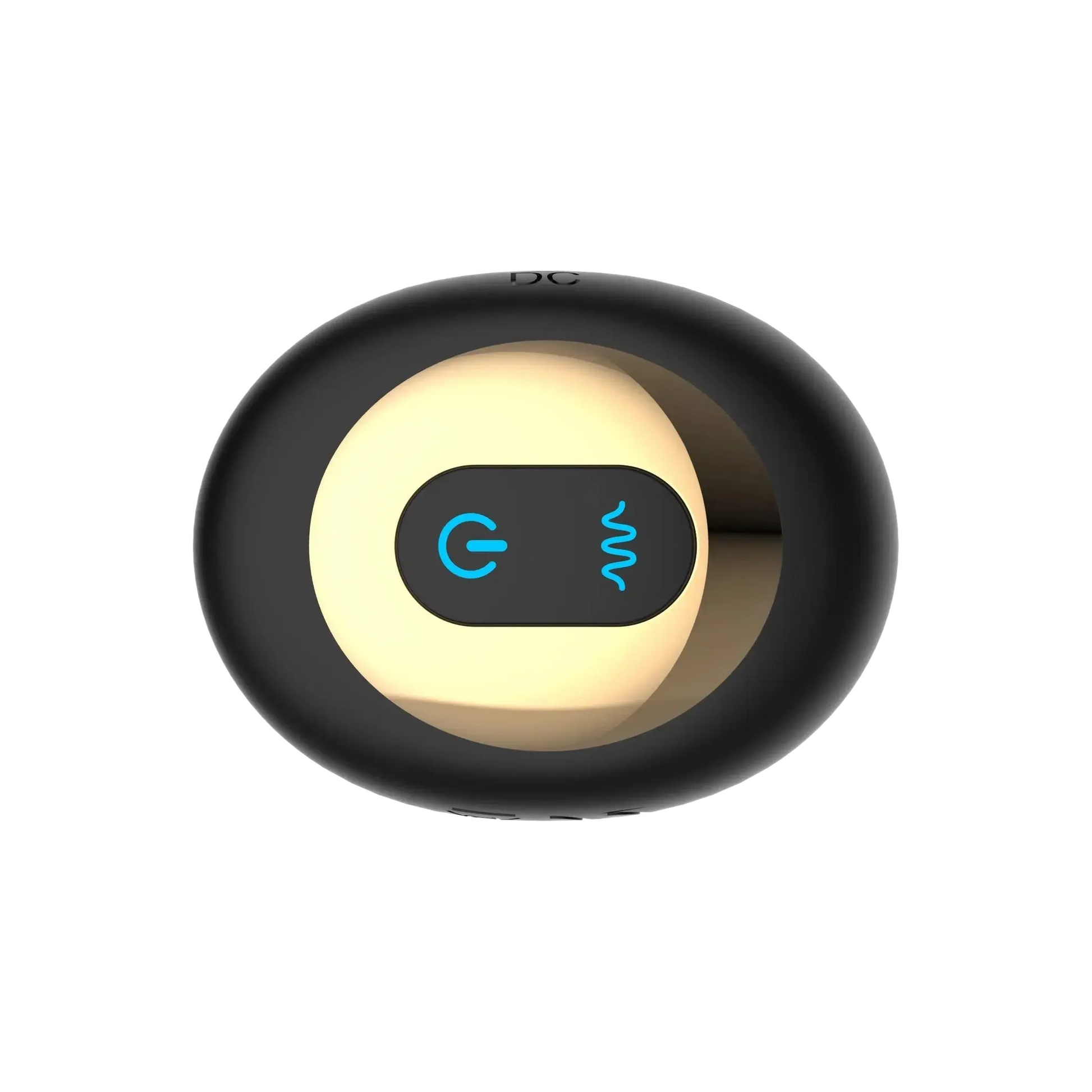 The Spin Rotating Anal Plug with Remote Control OEJ