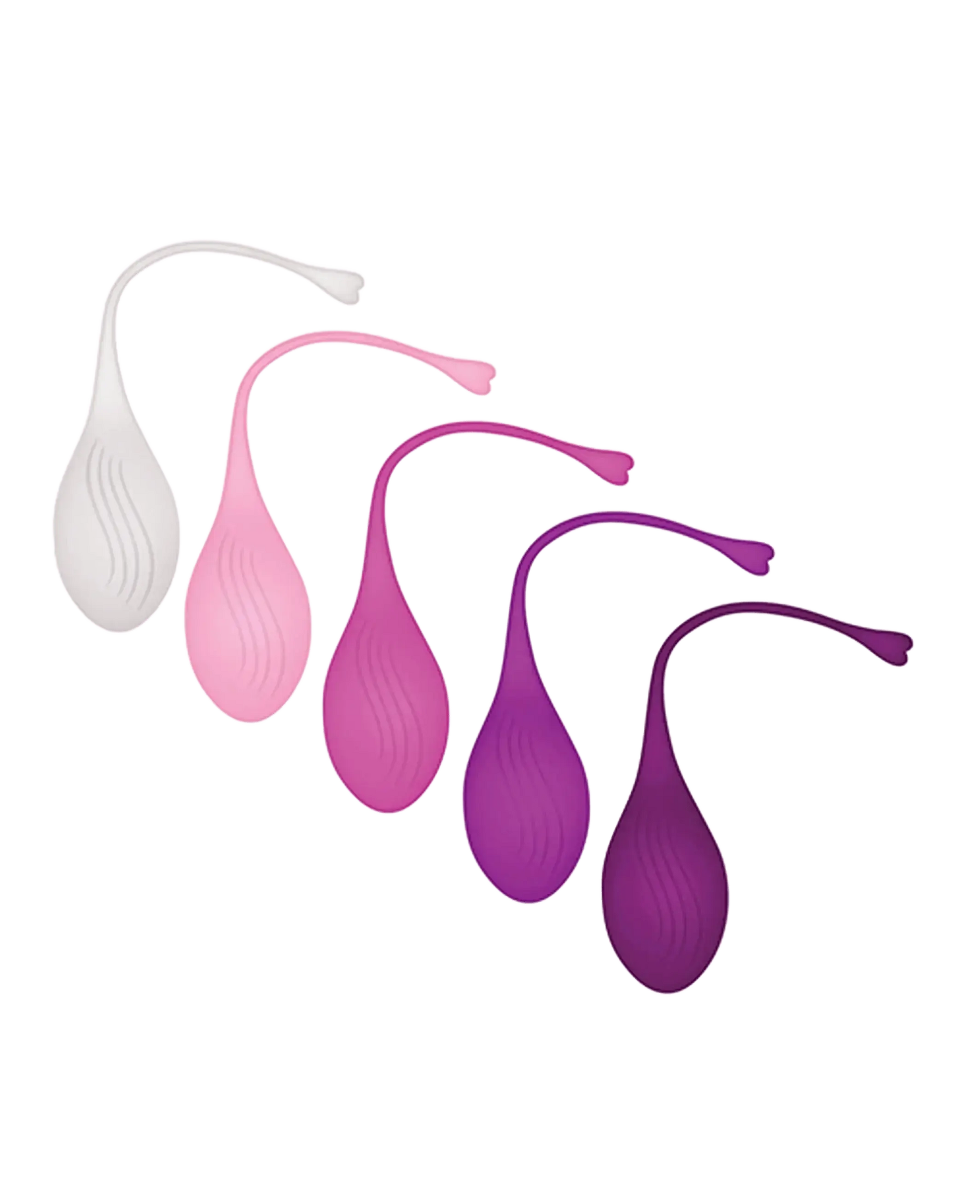 EVOLVED TIGHT & DELIGHT Evolved Novelties