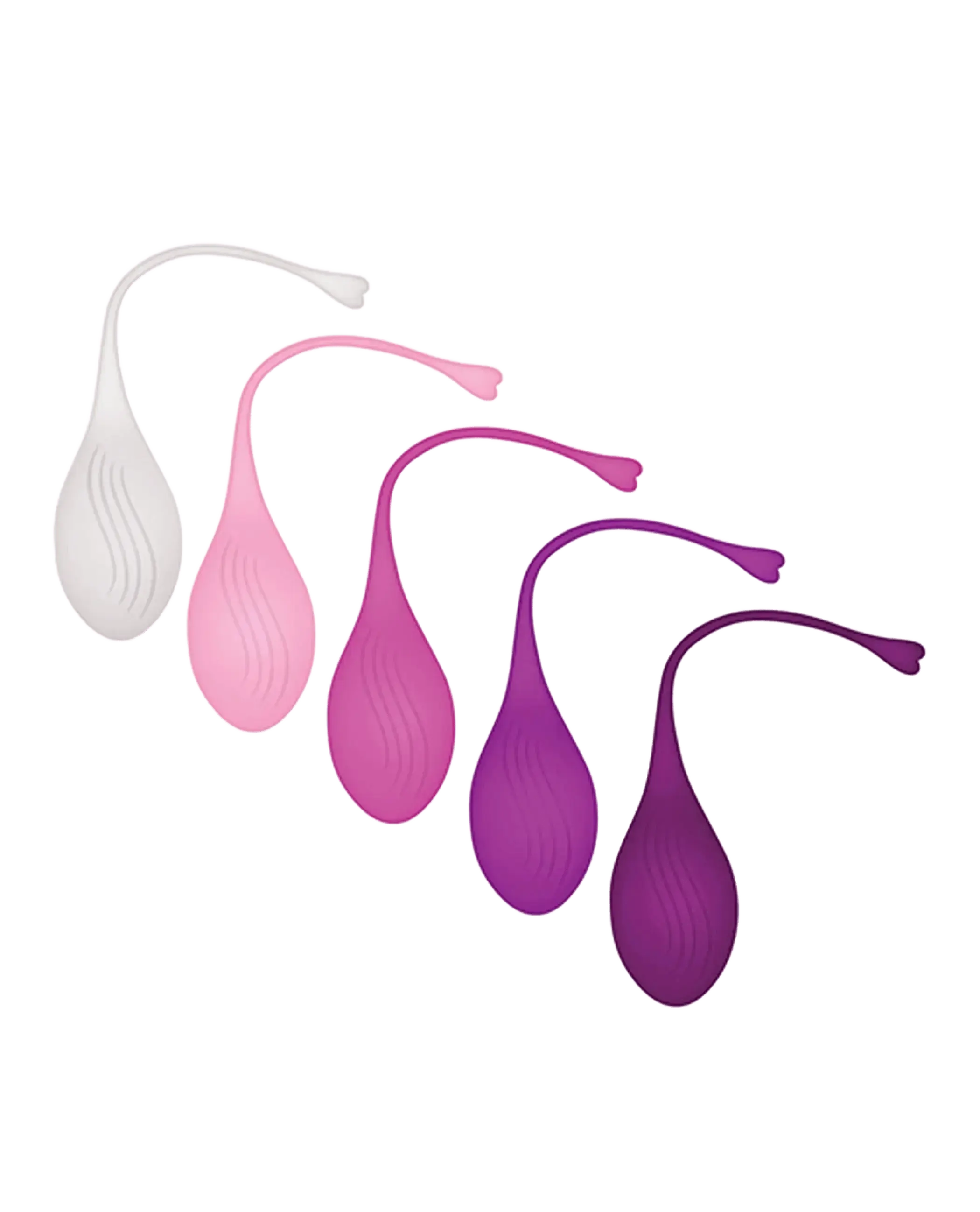 EVOLVED TIGHT & DELIGHT Evolved Novelties