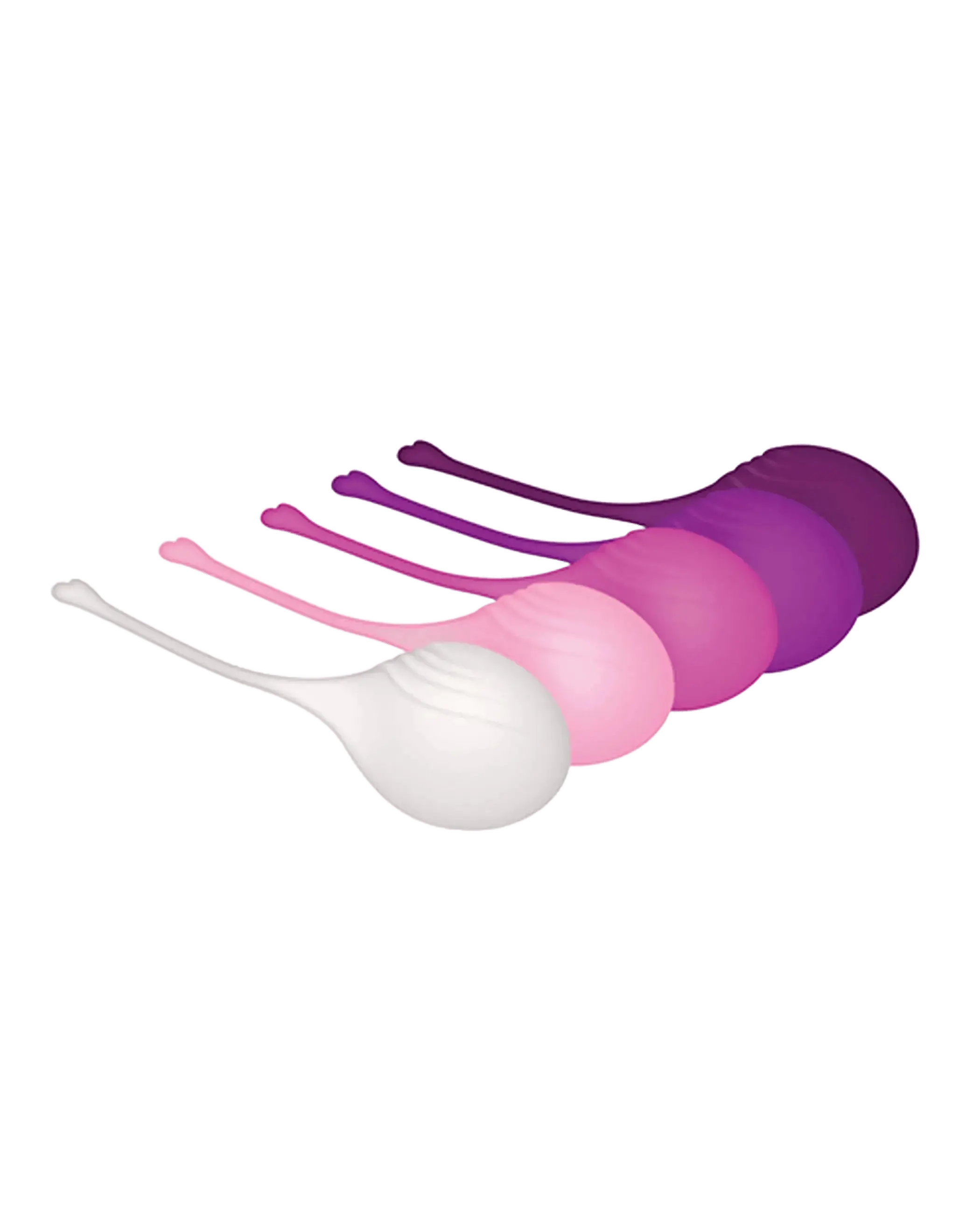 EVOLVED TIGHT & DELIGHT Evolved Novelties