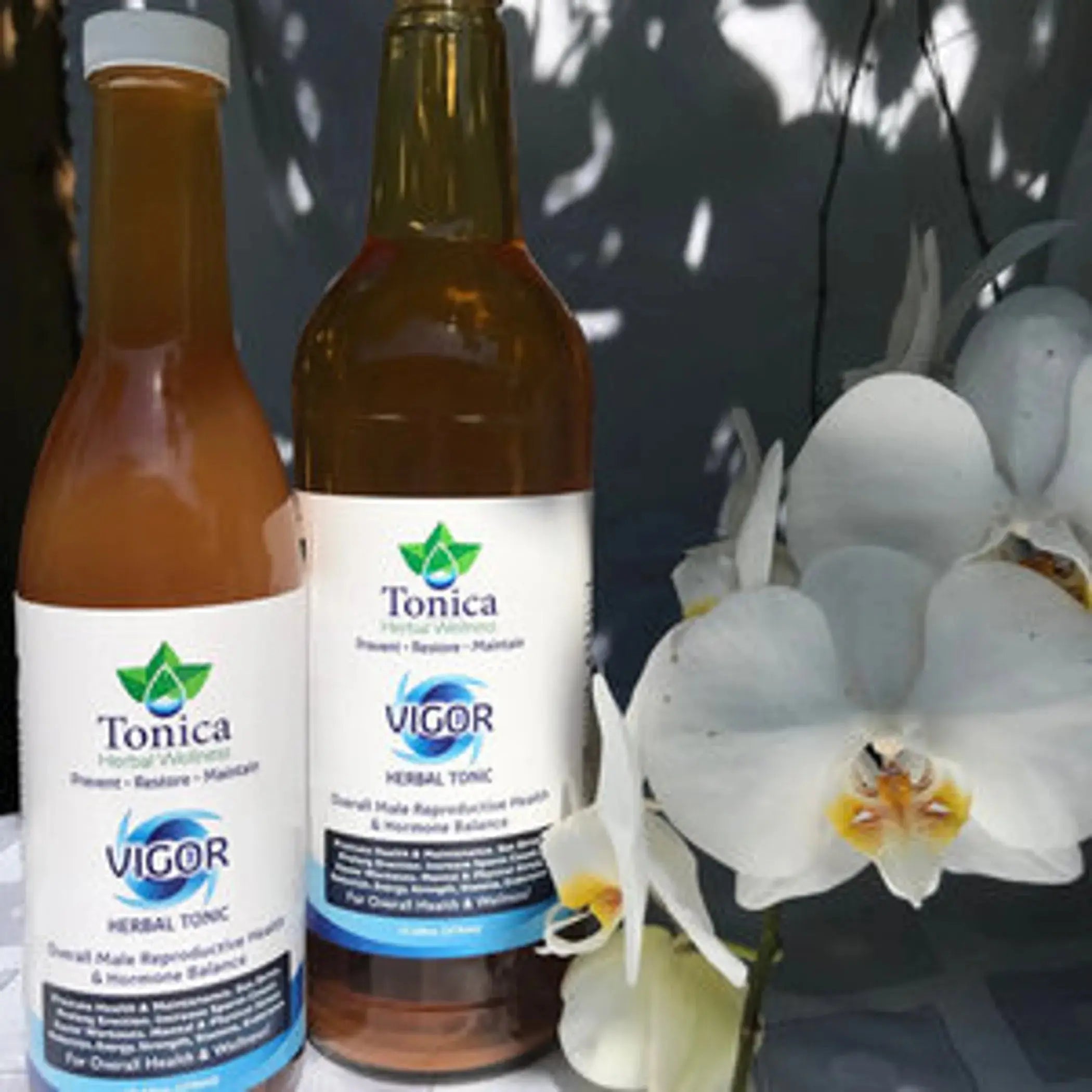Vigor - Male Reproductive Health Tonic Tonica Herbal Wellness